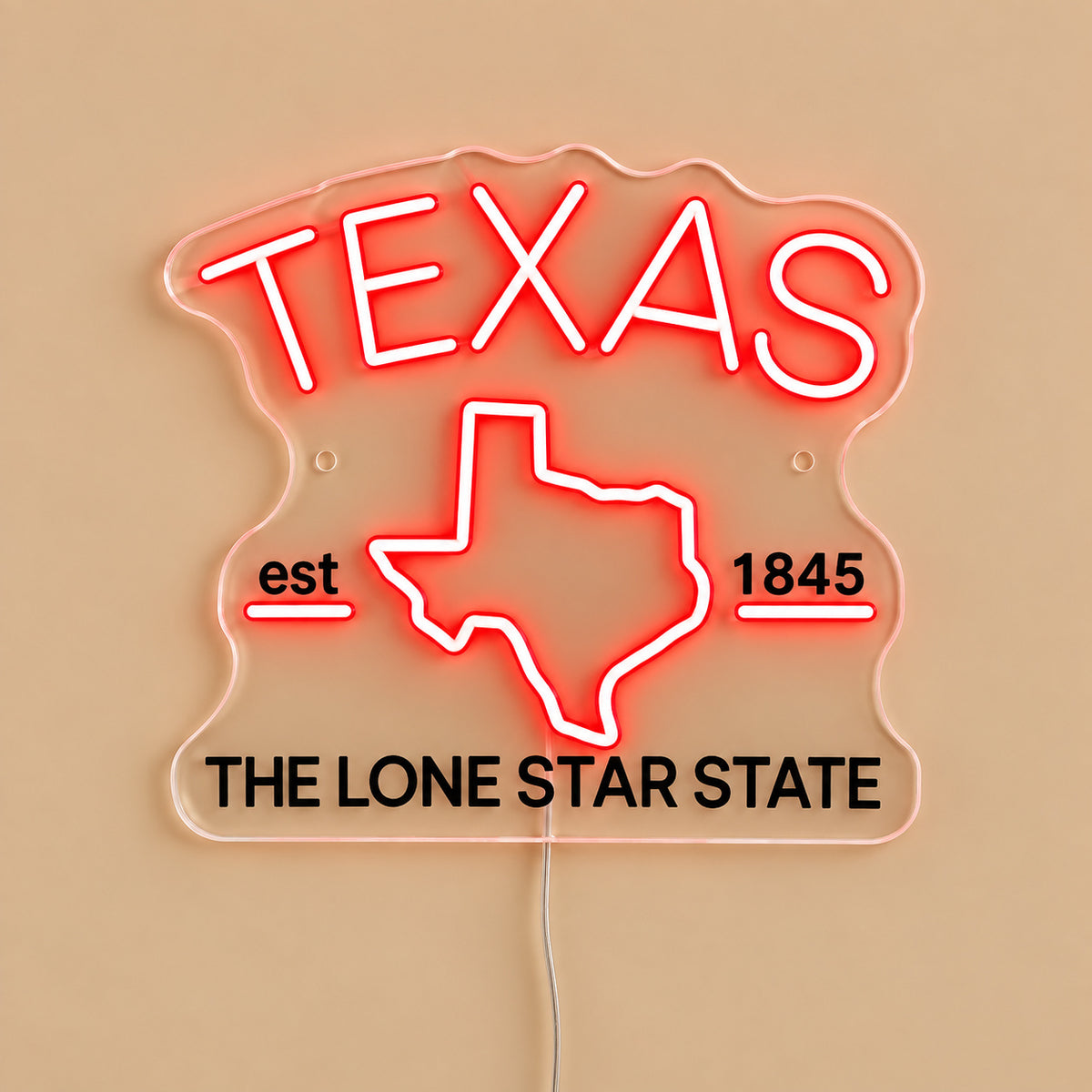 Lone Star State Texas Map LED Neon Sign image 06