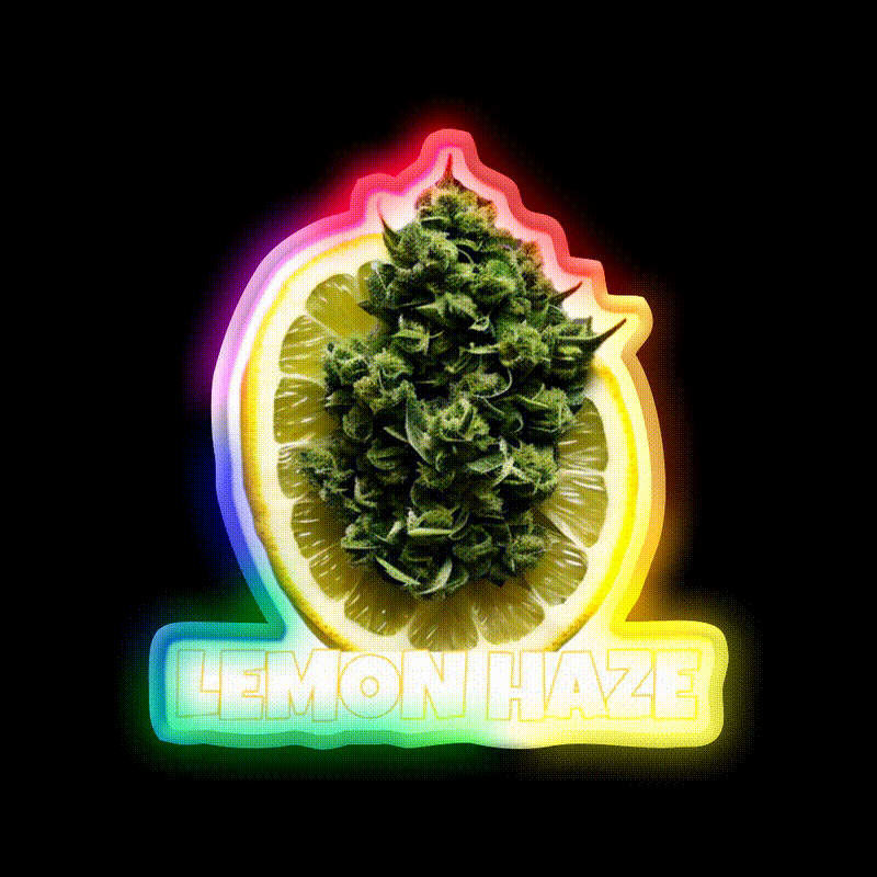 Lemon Haze Weed Hemp Inspired Green Leaf Led Neon Sign Rgb Color - LED neon sign close-up detail