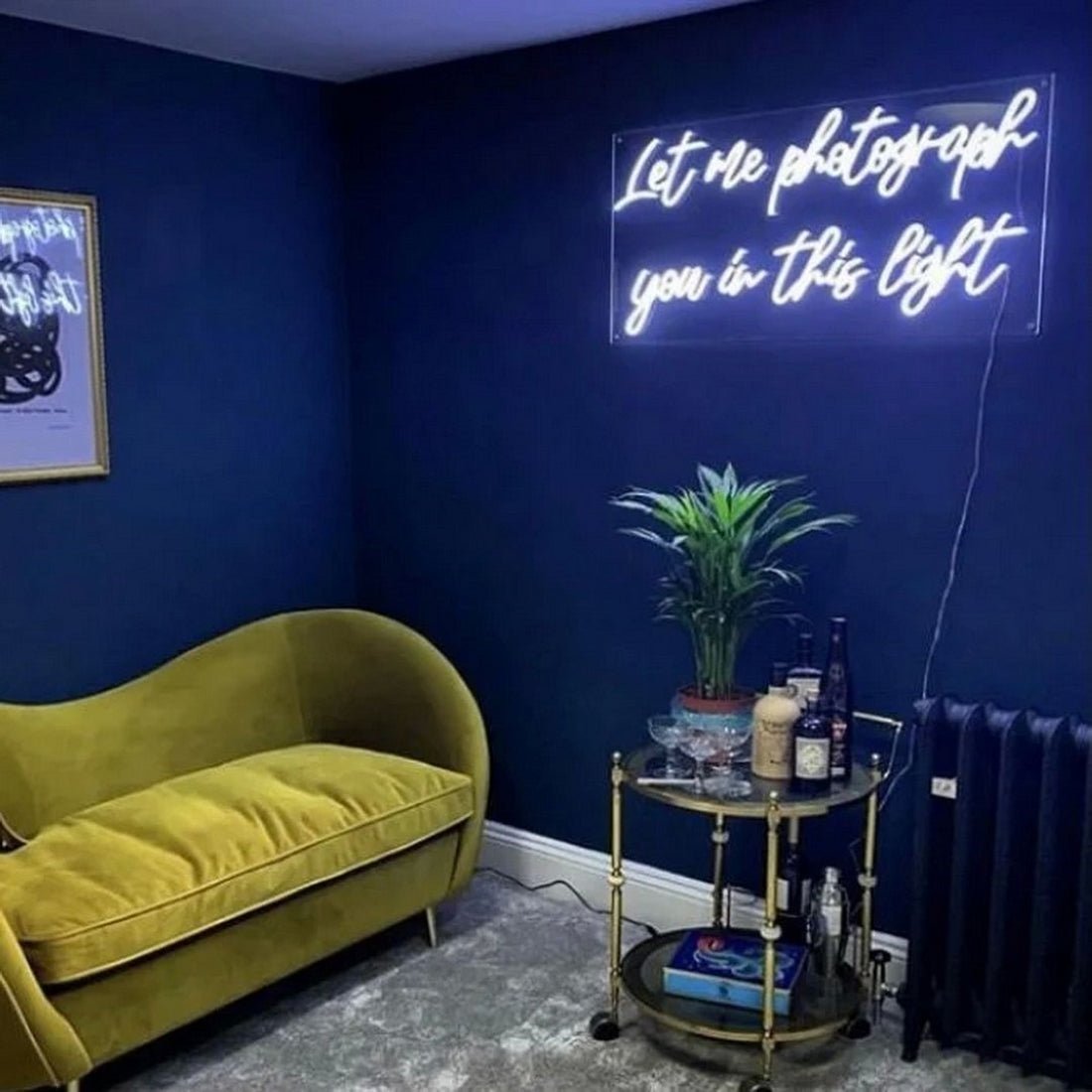 Let Me Photograph You In This Light Led Sign Business Neon Sign - Shineneon