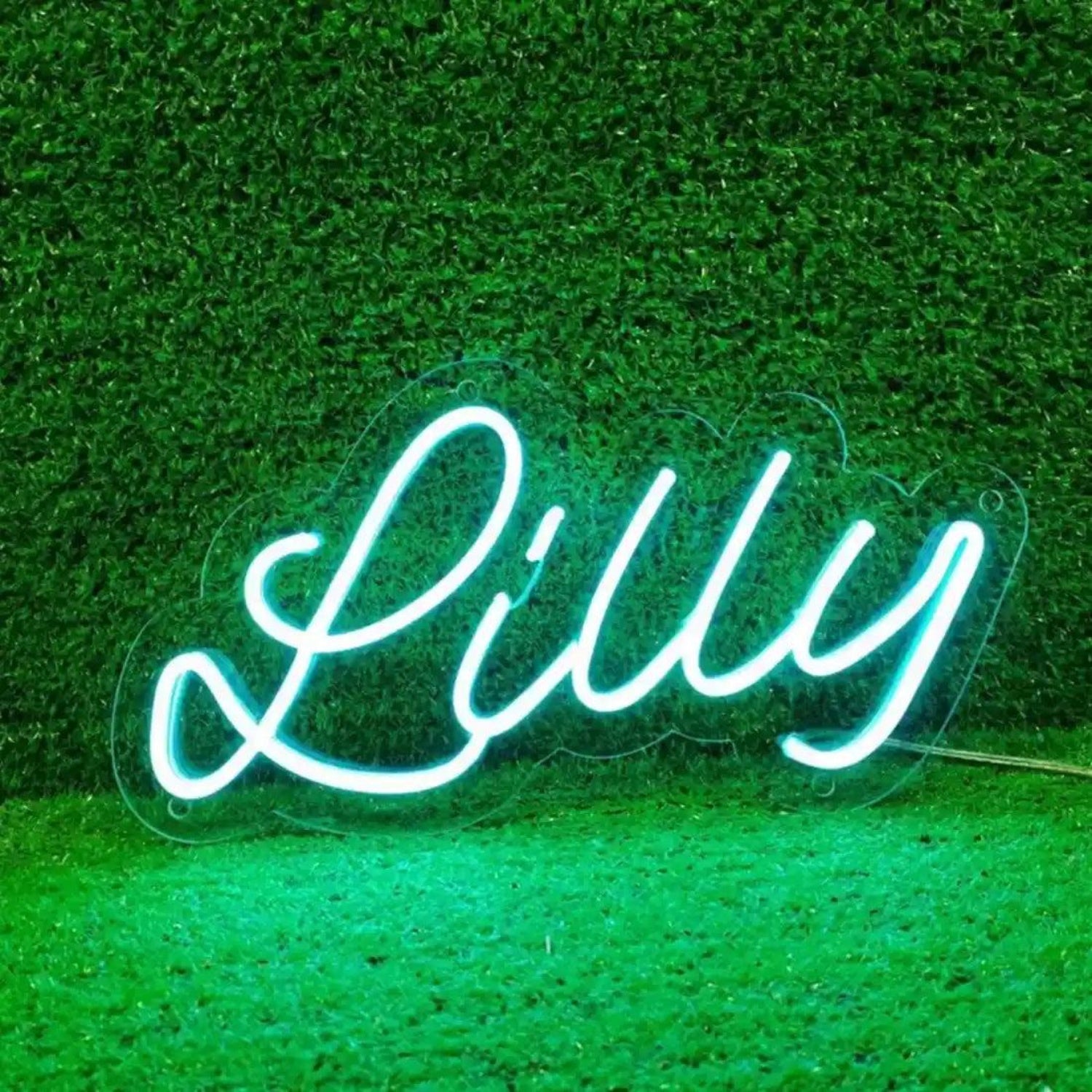 Lilly Name Blue-White LED Neon Sign for Indoor Decor Commercial Display | Shineneon