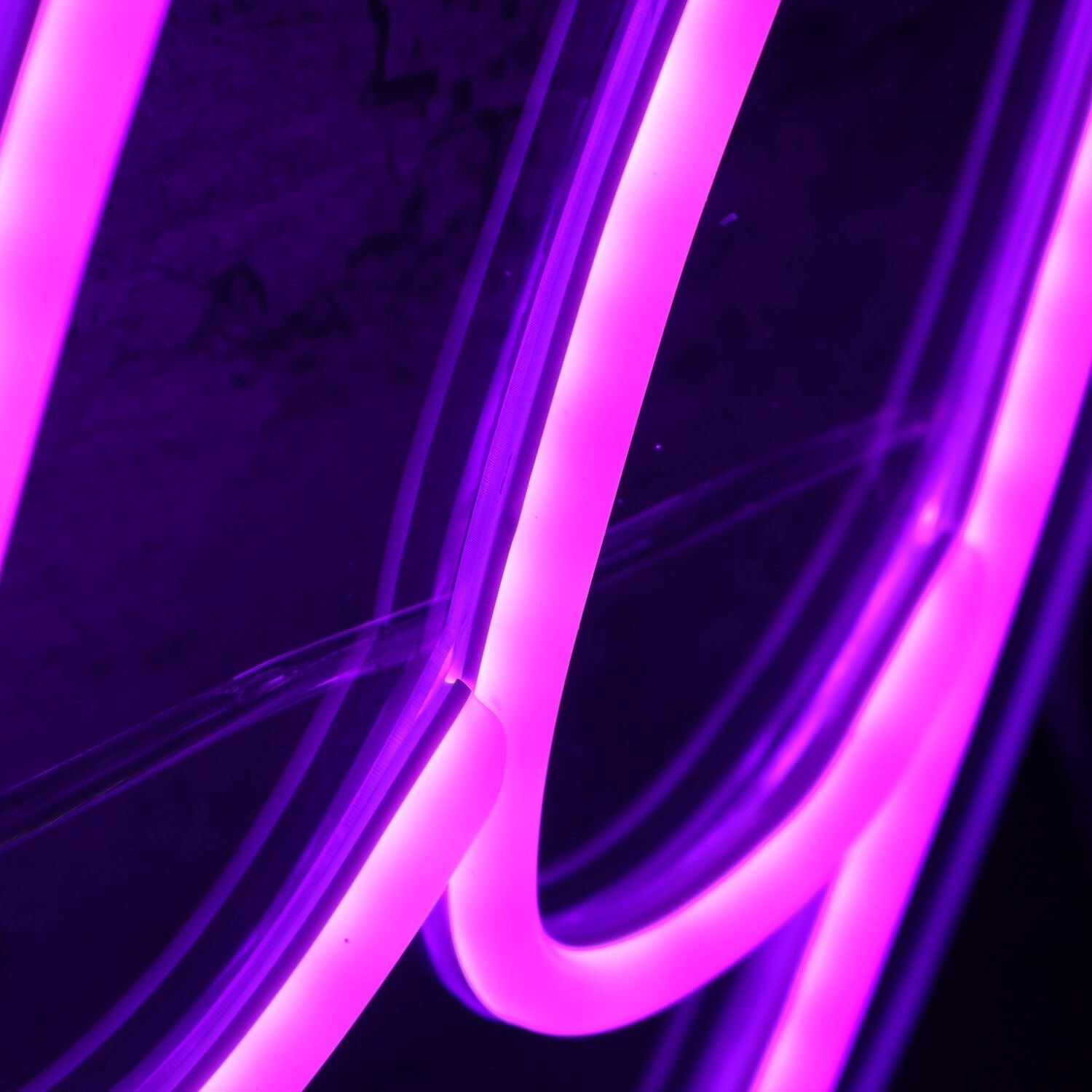 Lindy Dark Purple Led Neon Sign - Shineneon
