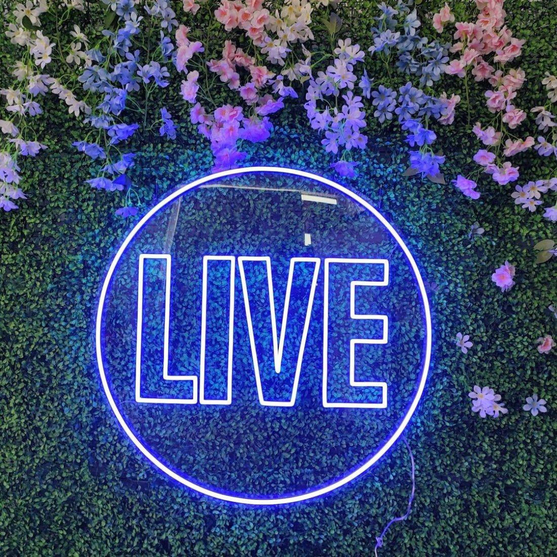 Live Led Sign Business Neon Signs - Shineneon