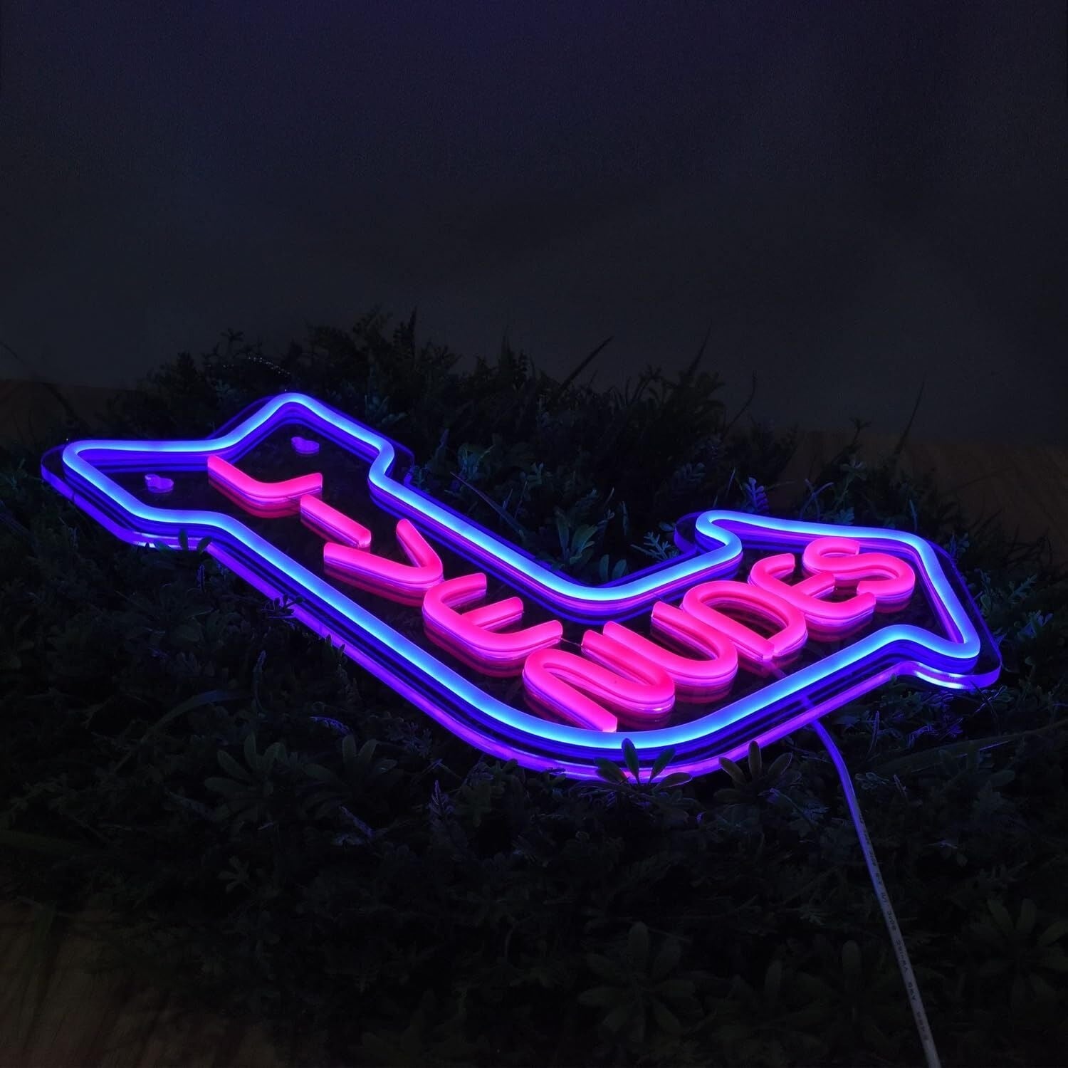 Live Nudes Room Led Neon Sign Bar Fun | Shineneon