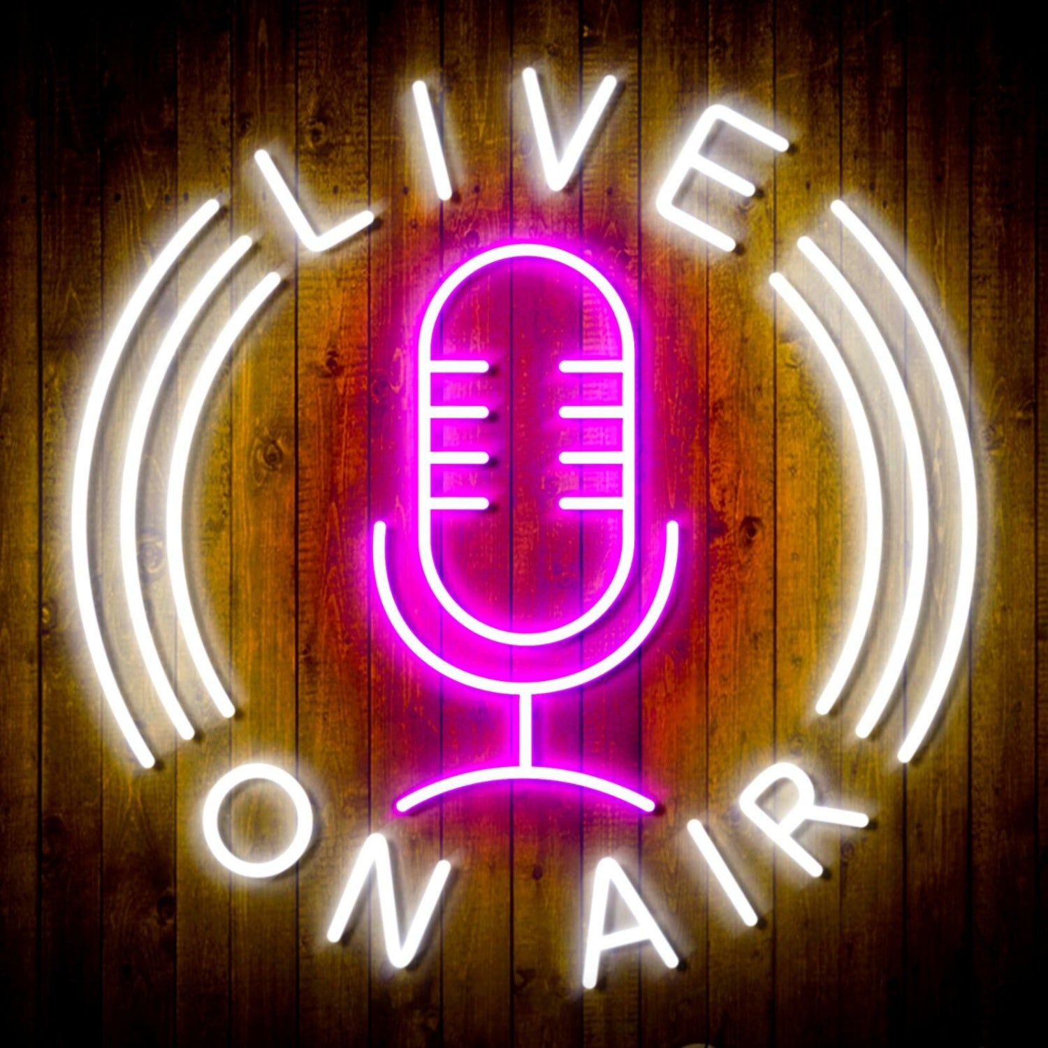 Live On Air Dual Led Neon Sign For Studios And Broadcasting Spaces | Shineneon