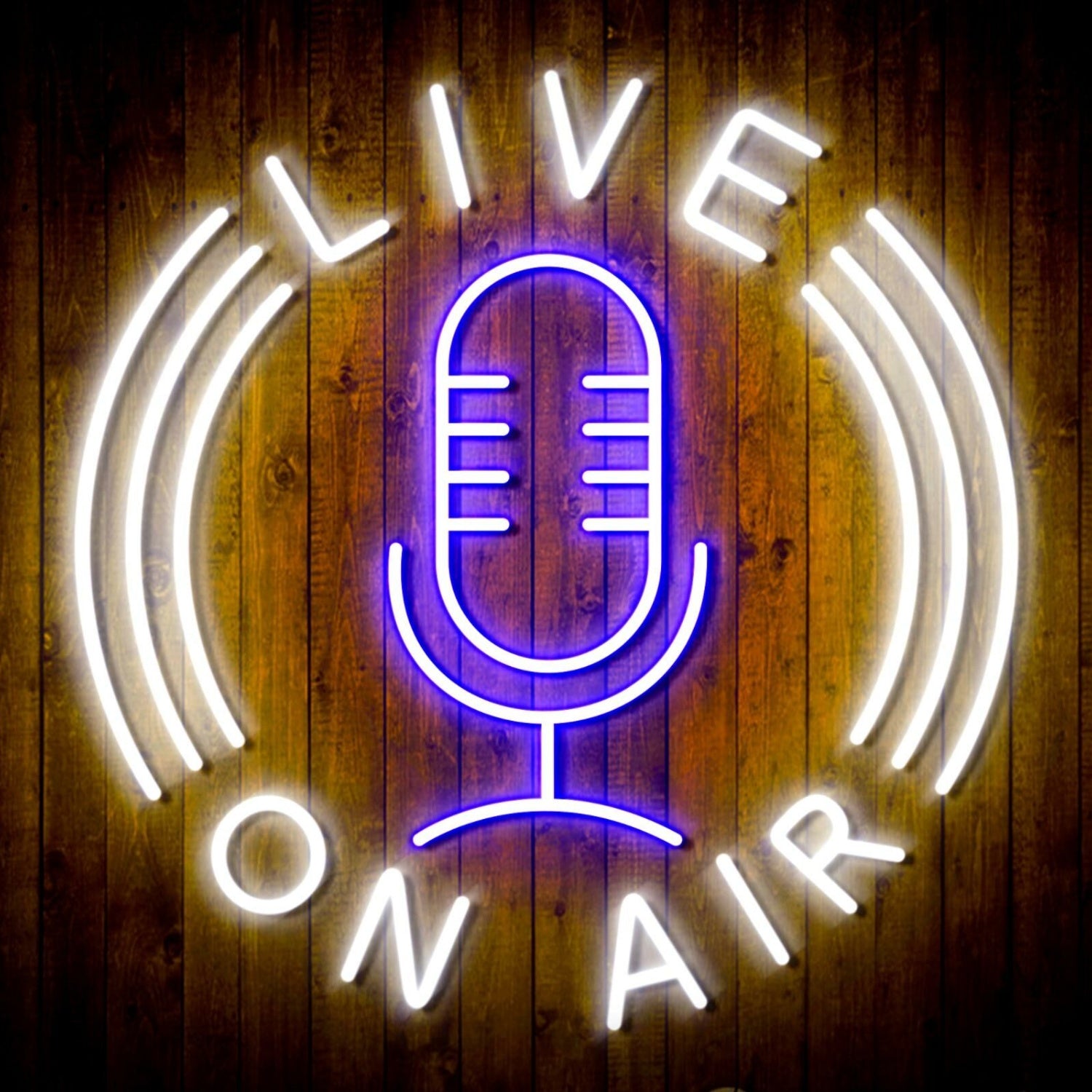 Live On Air Dual Led Neon Sign For Studios And Broadcasting Spaces | Shineneon