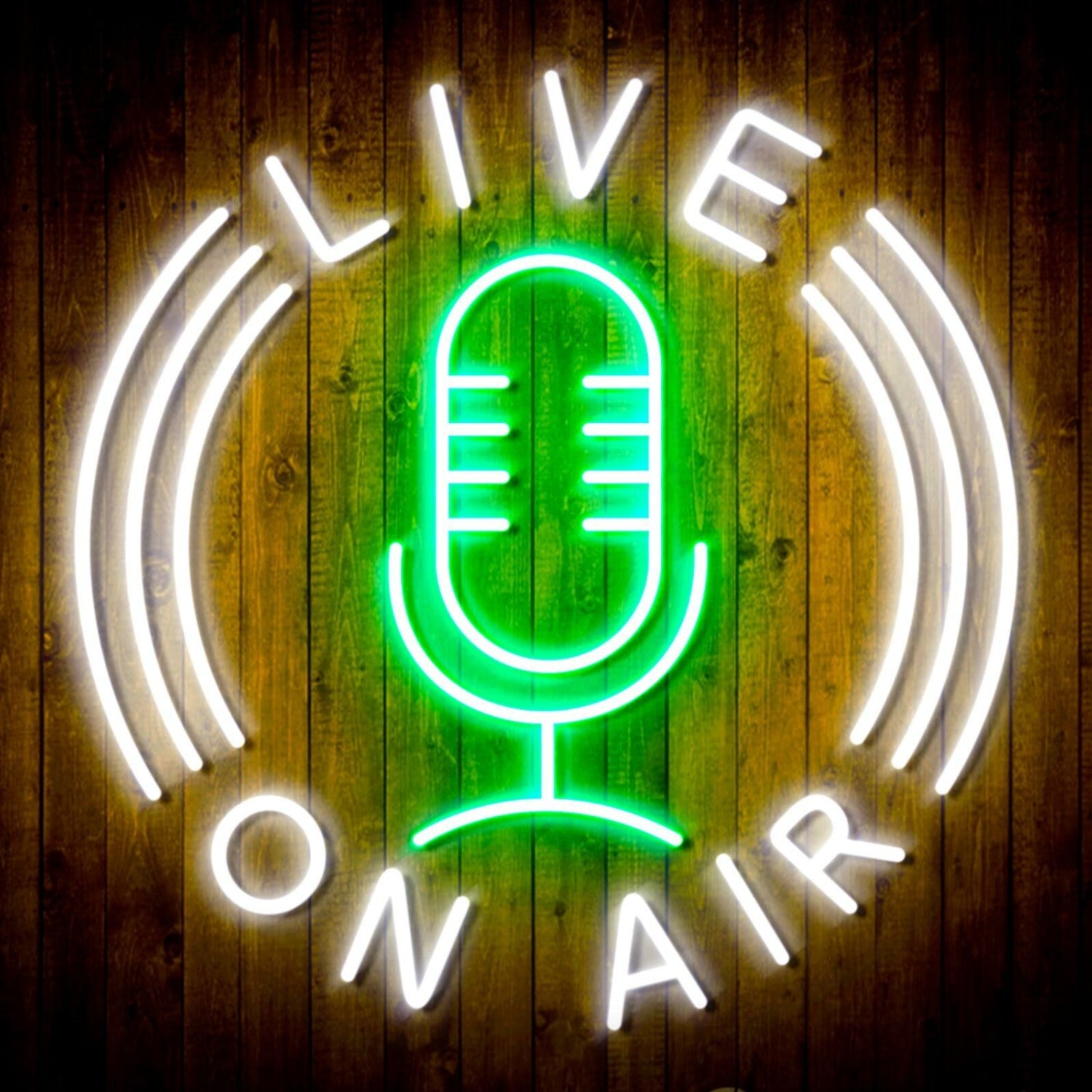 Live On Air Dual Led Neon Sign For Studios And Broadcasting Spaces | Shineneon
