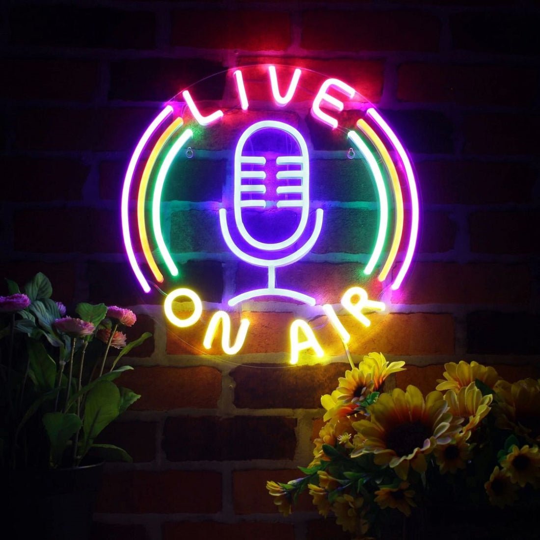 Live On Air Led Sign Business Neon Signs - Shineneon