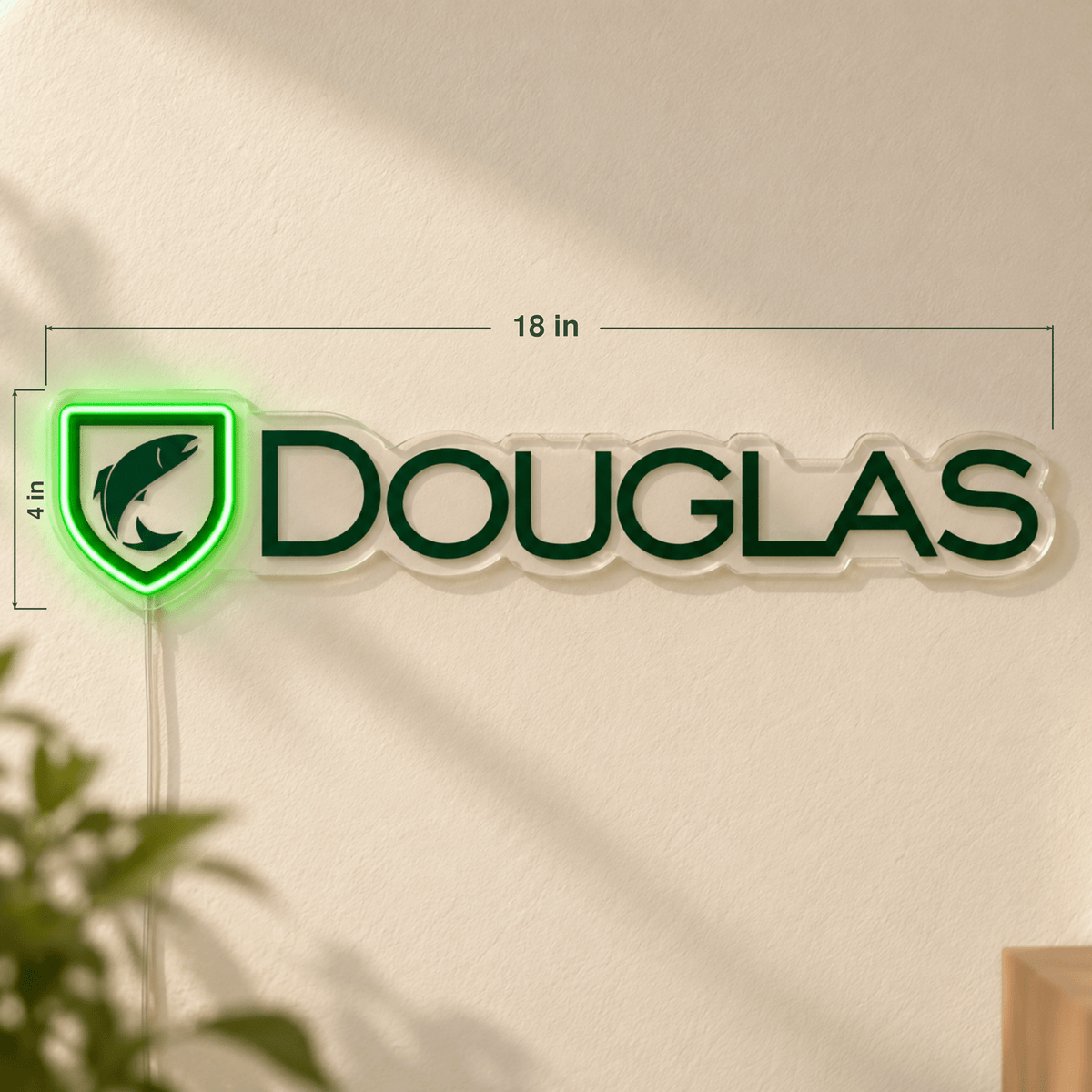 Lizzi's Custom LED Neon Sign - Douglas 18inch - Shineneon
