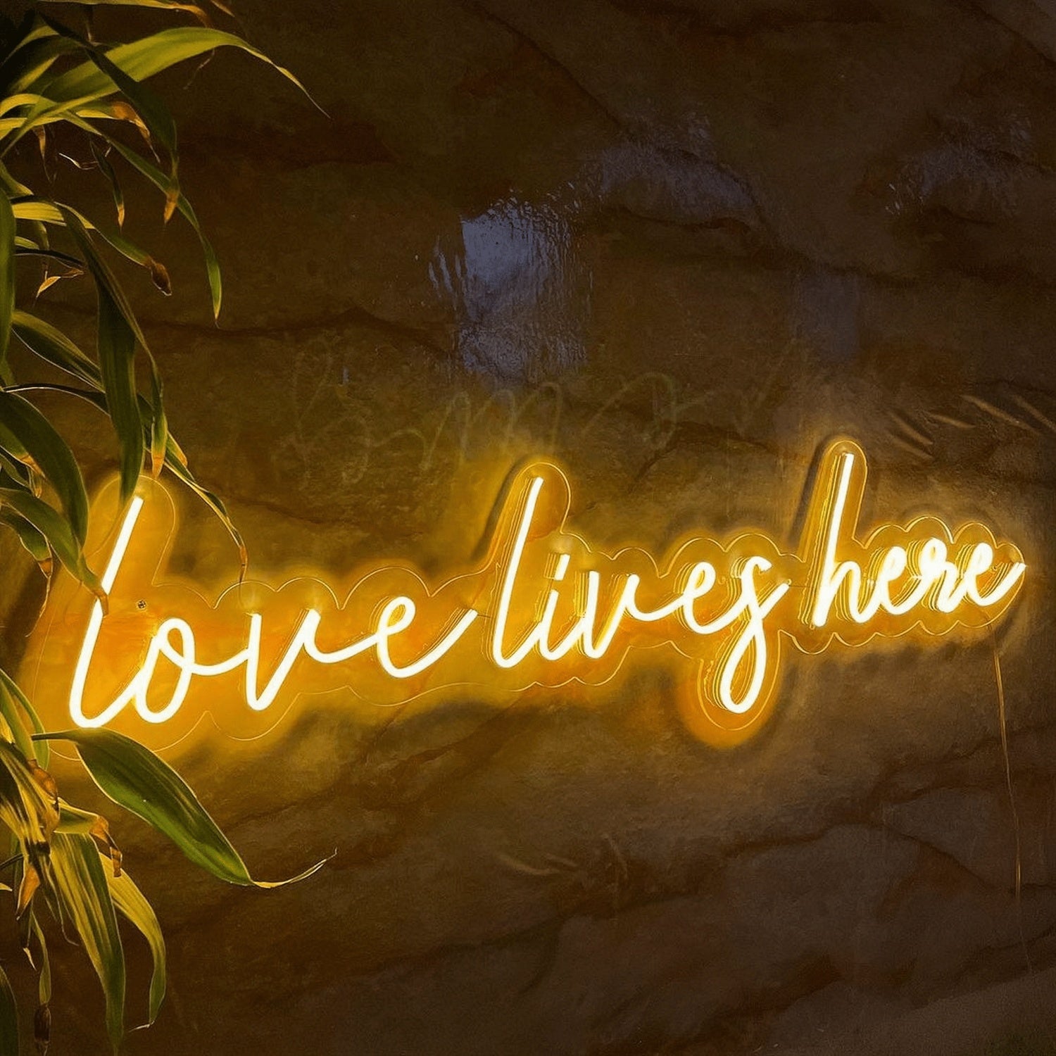 Love Live Here Neon Sign Vibrant Love And Feminine Energy | Shineneon