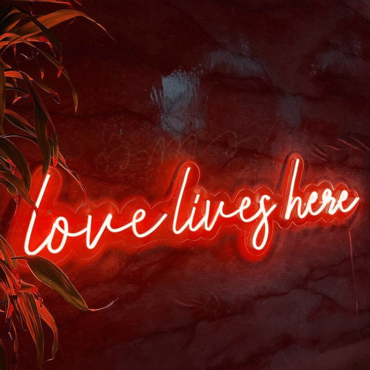Love Live Here Neon Sign Vibrant Love And Feminine Energy | Shineneon