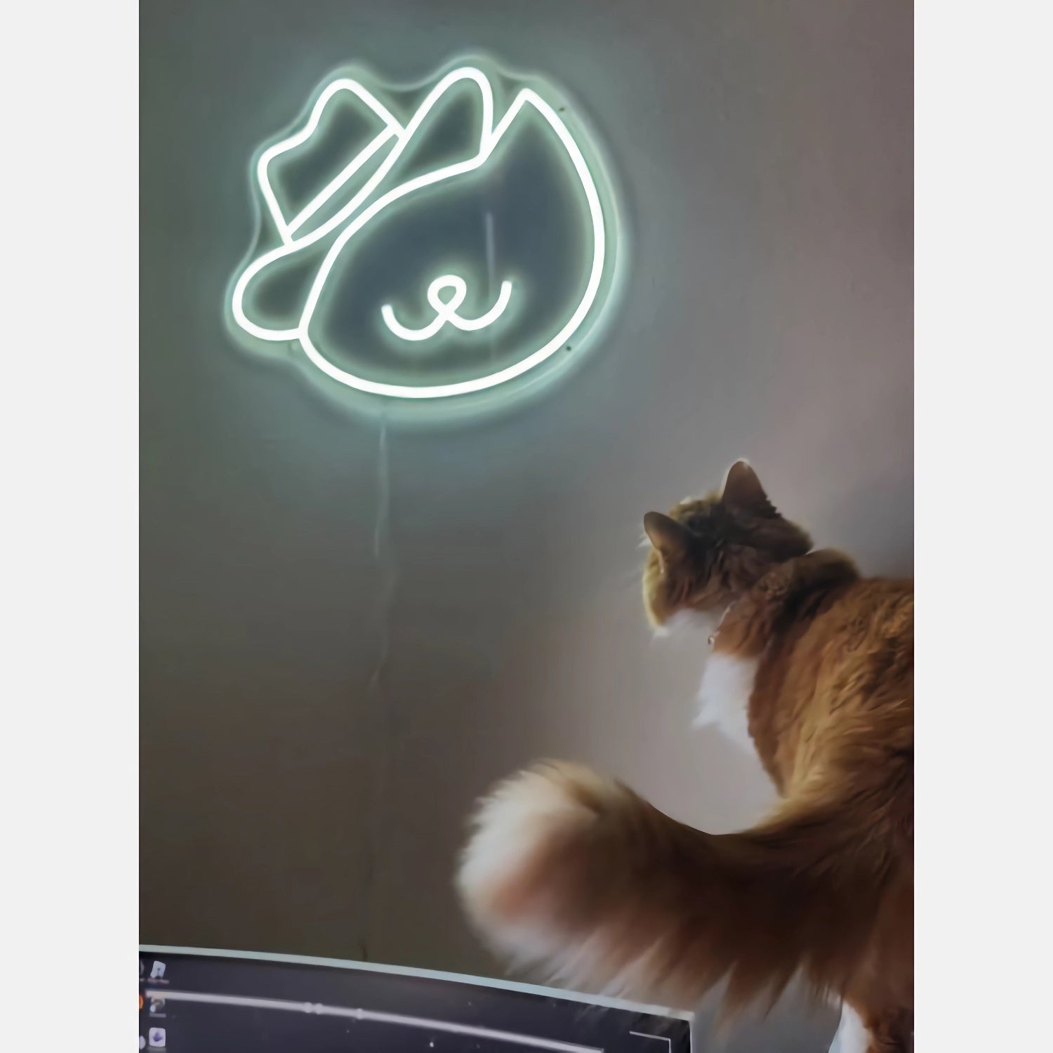 Lovely Cat In A Hat Led Neon Sign For Pets House | Shineneon