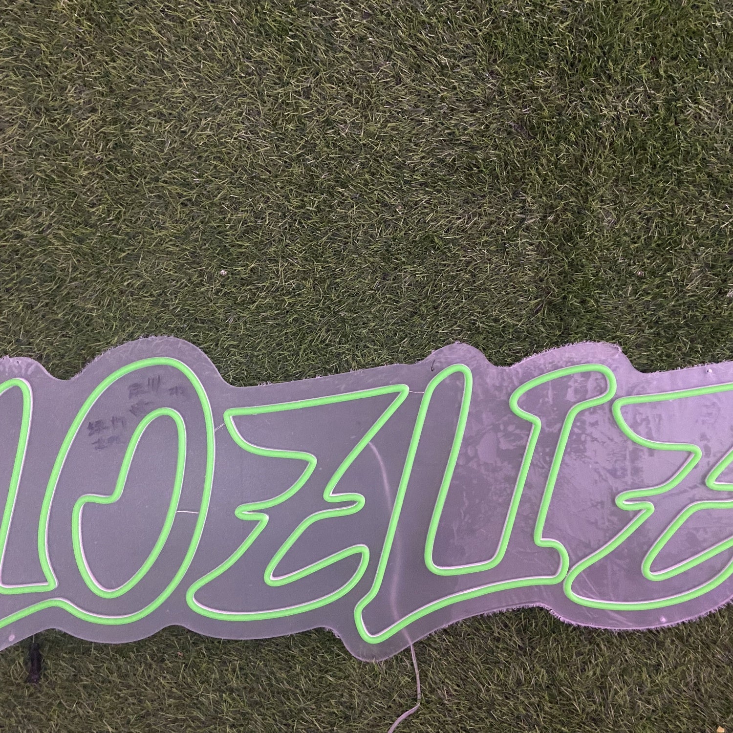 Lozliz Green Led Neon Sign For Bars | Shineneon