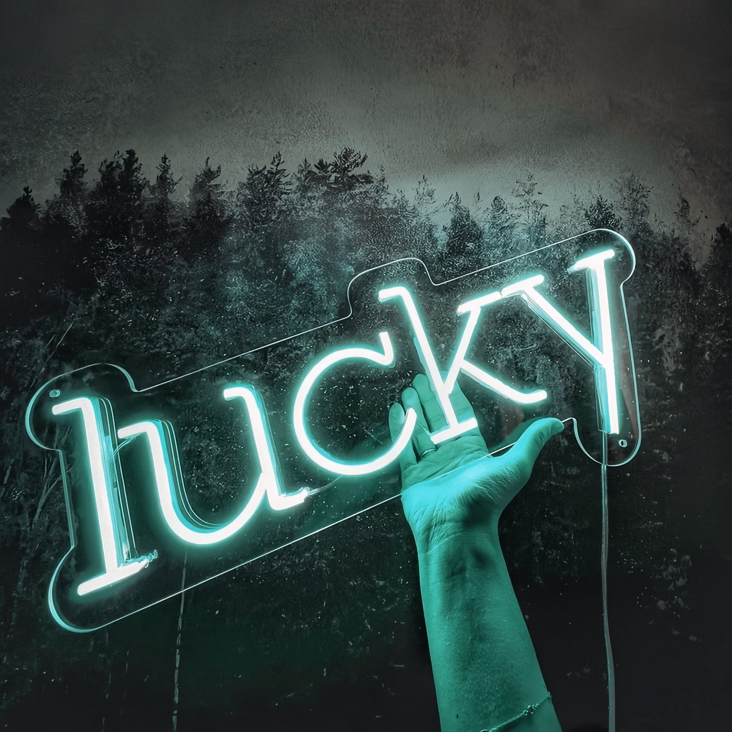 Lucky Neon Sign Fortunate Charms Illuminated | Shineneon