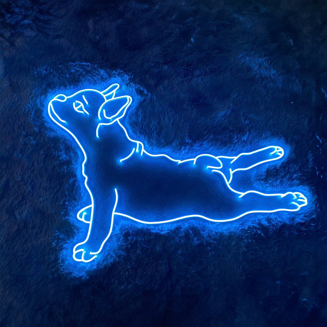 Lying Dog Neon Signs - Shineneon