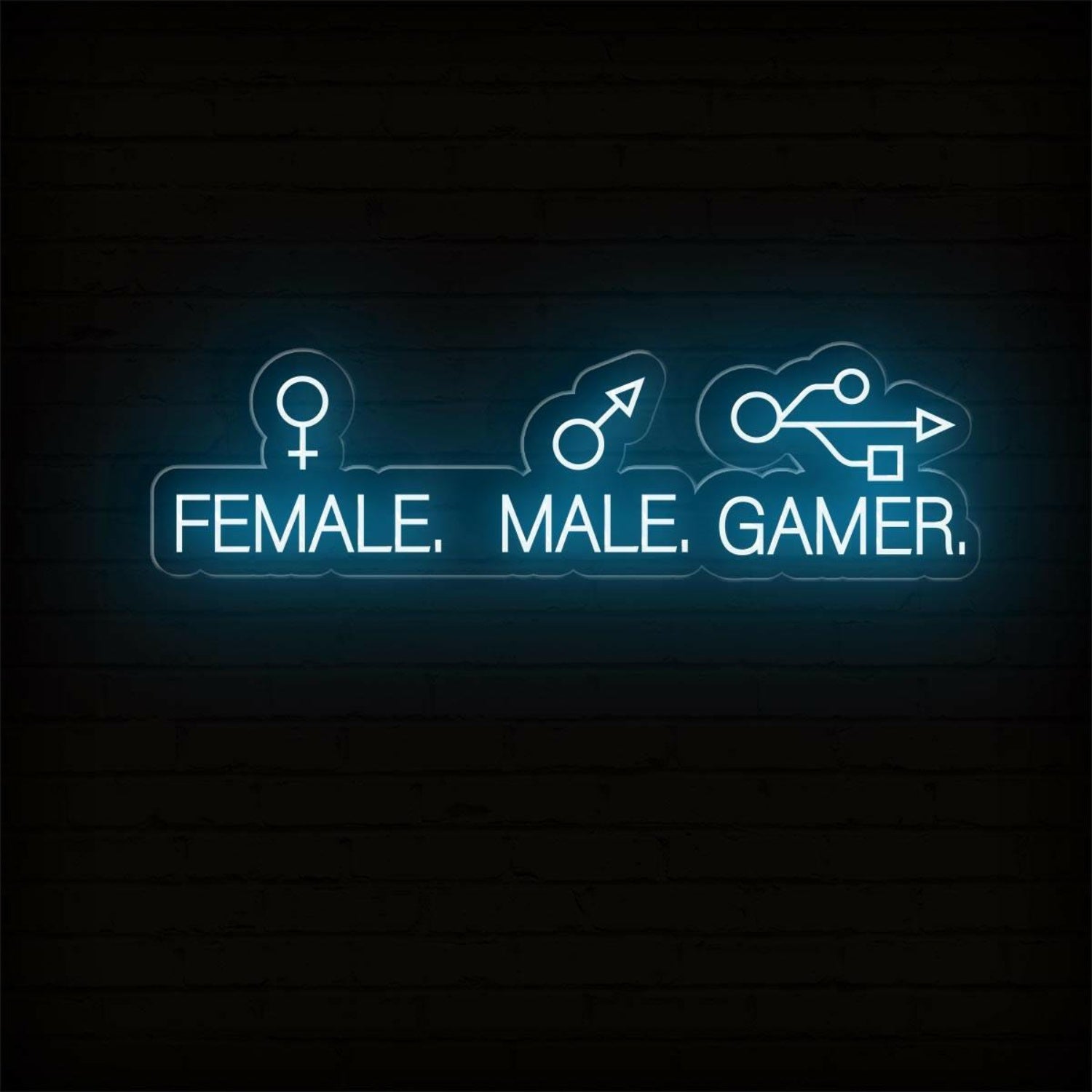 Male Female Gamer Led Neon Sign Blue-White Gaming Room Decor | Shineneon