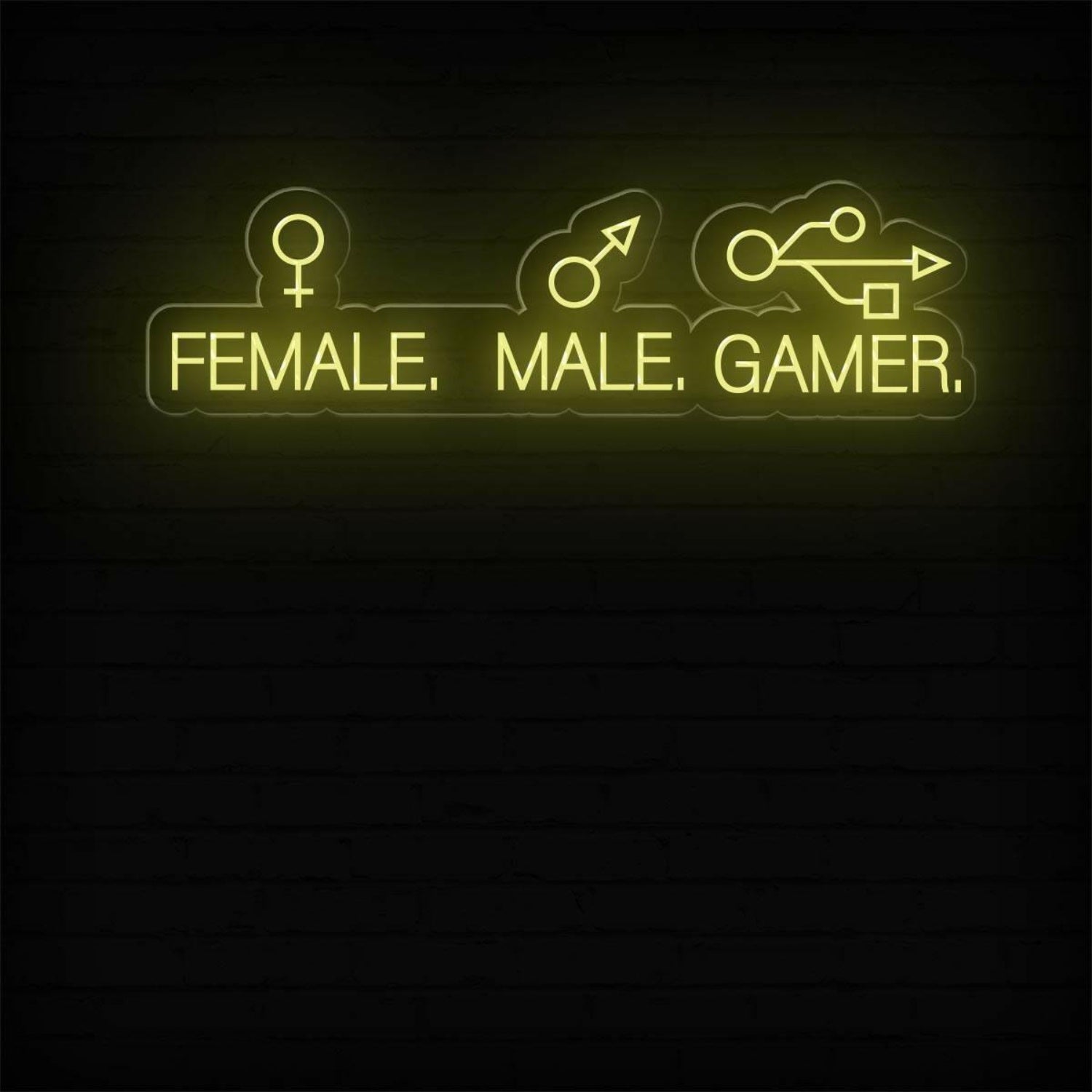 Male Female Gamer Led Neon Sign Blue-White Gaming Room Decor | Shineneon
