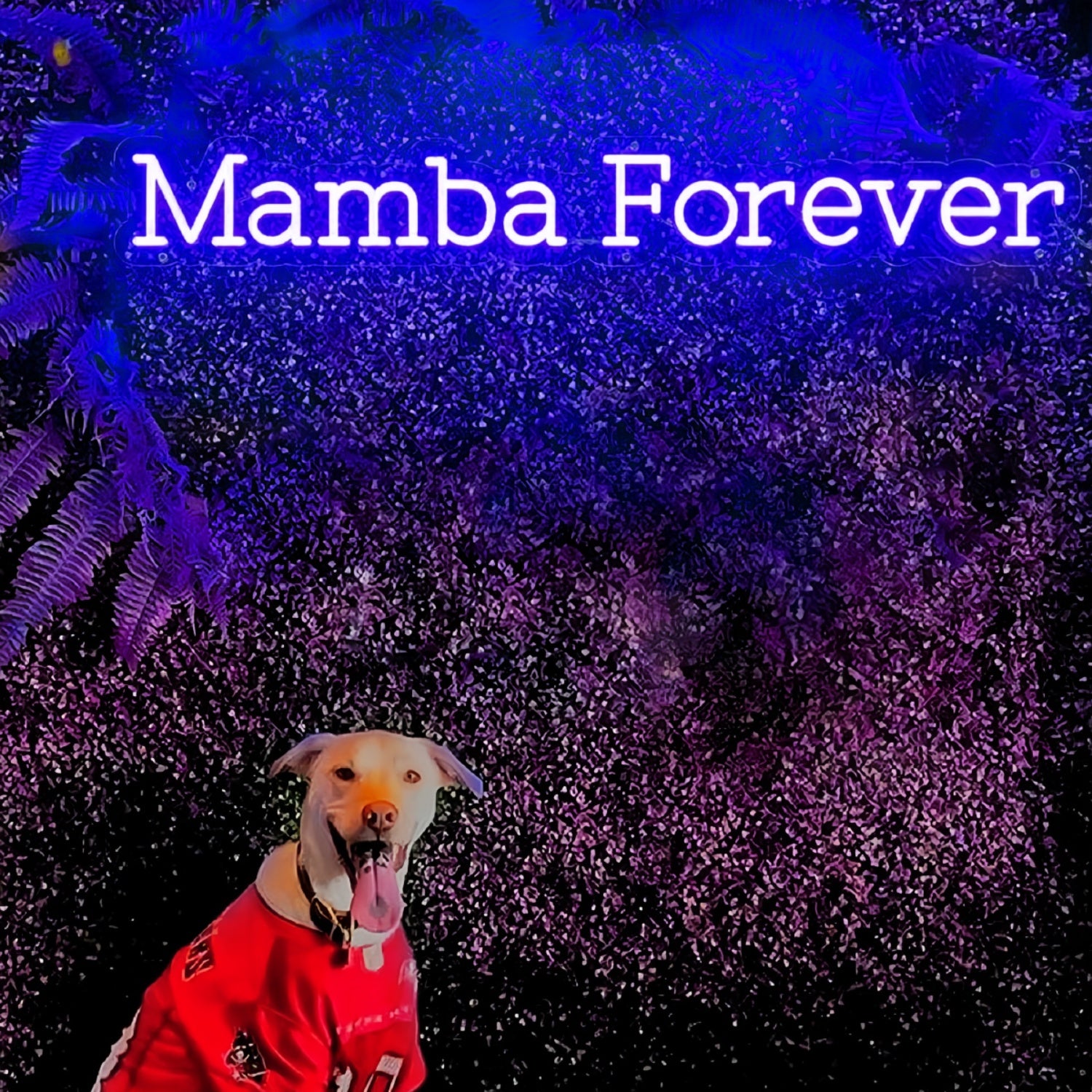 Mamba Forever Neon Sign | Shineneon