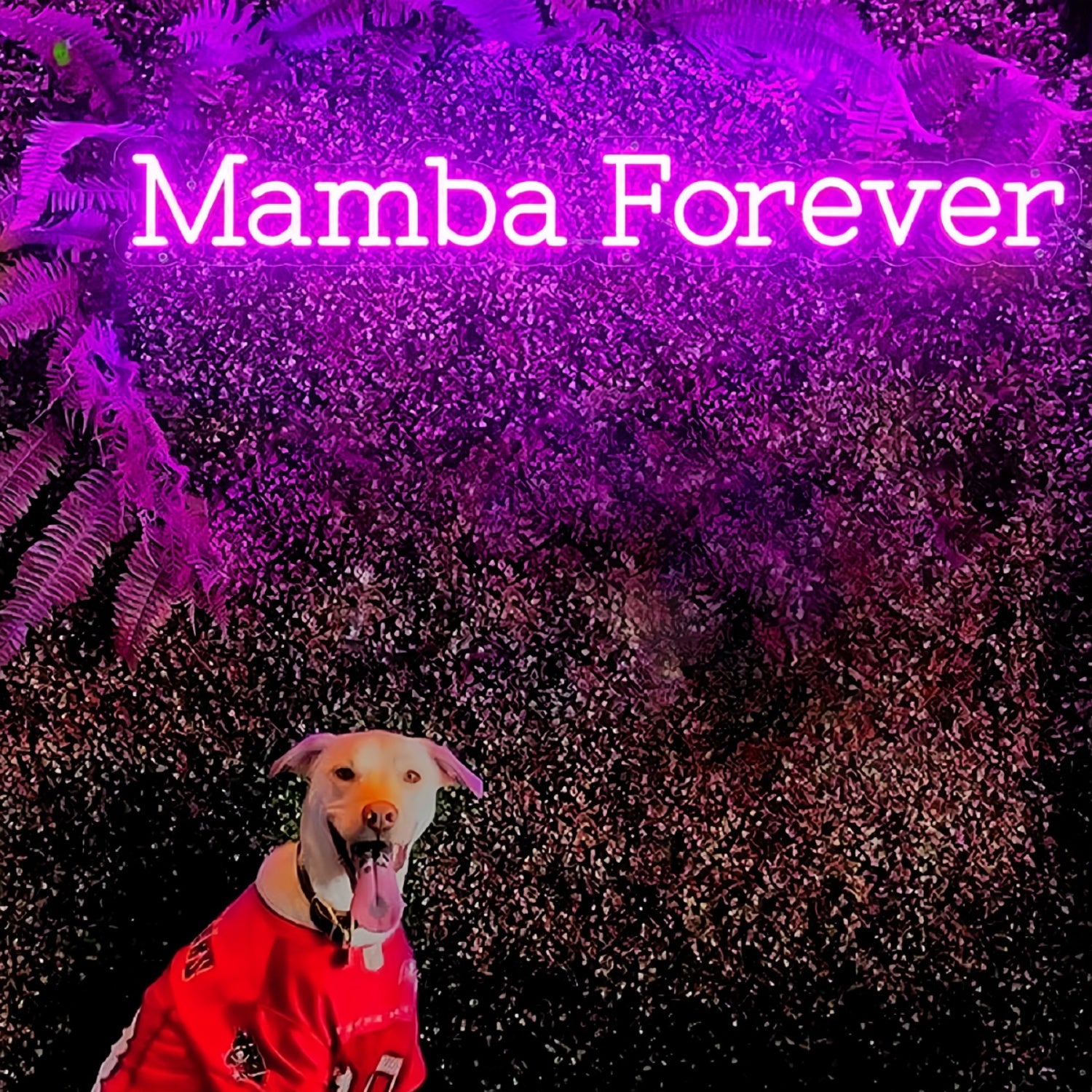 Mamba Forever Neon Sign | Shineneon