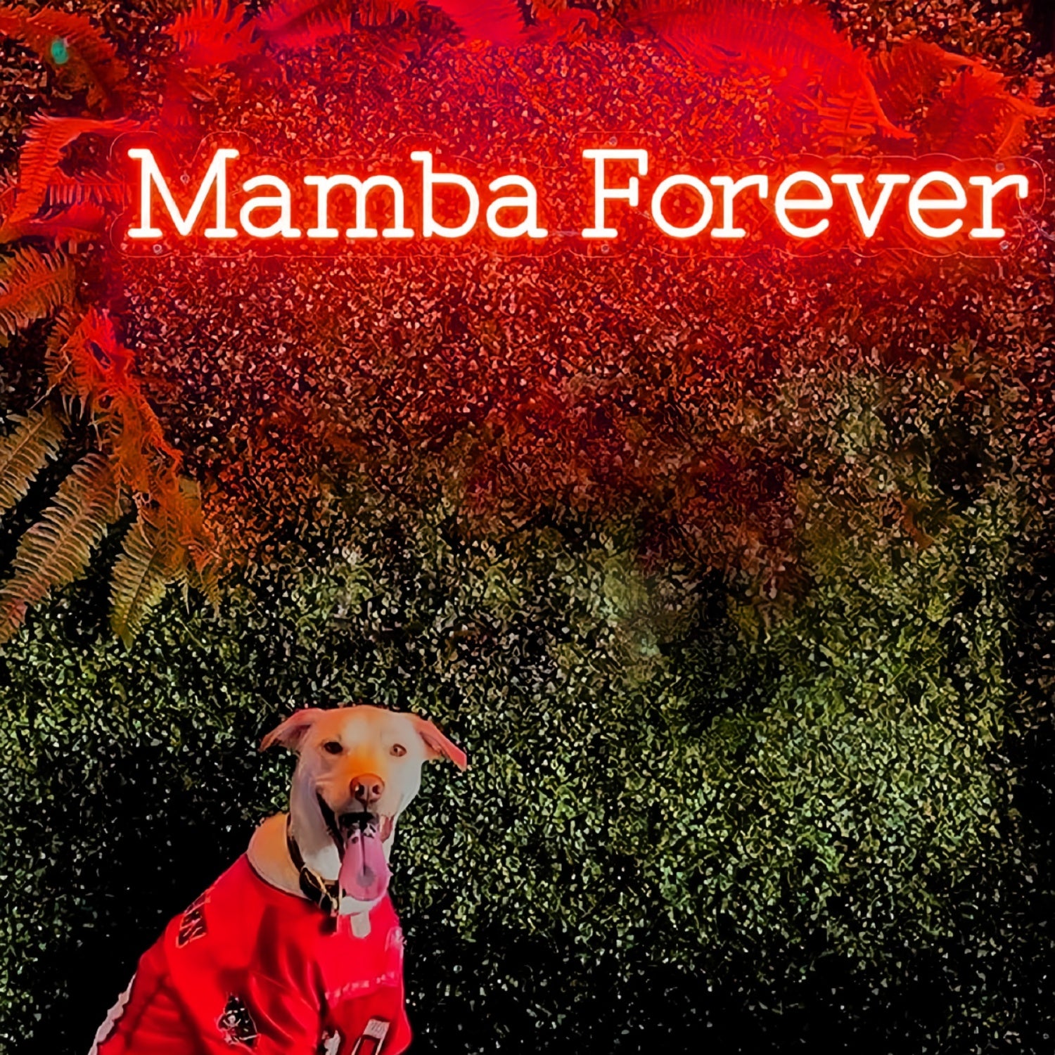Mamba Forever Neon Sign | Shineneon