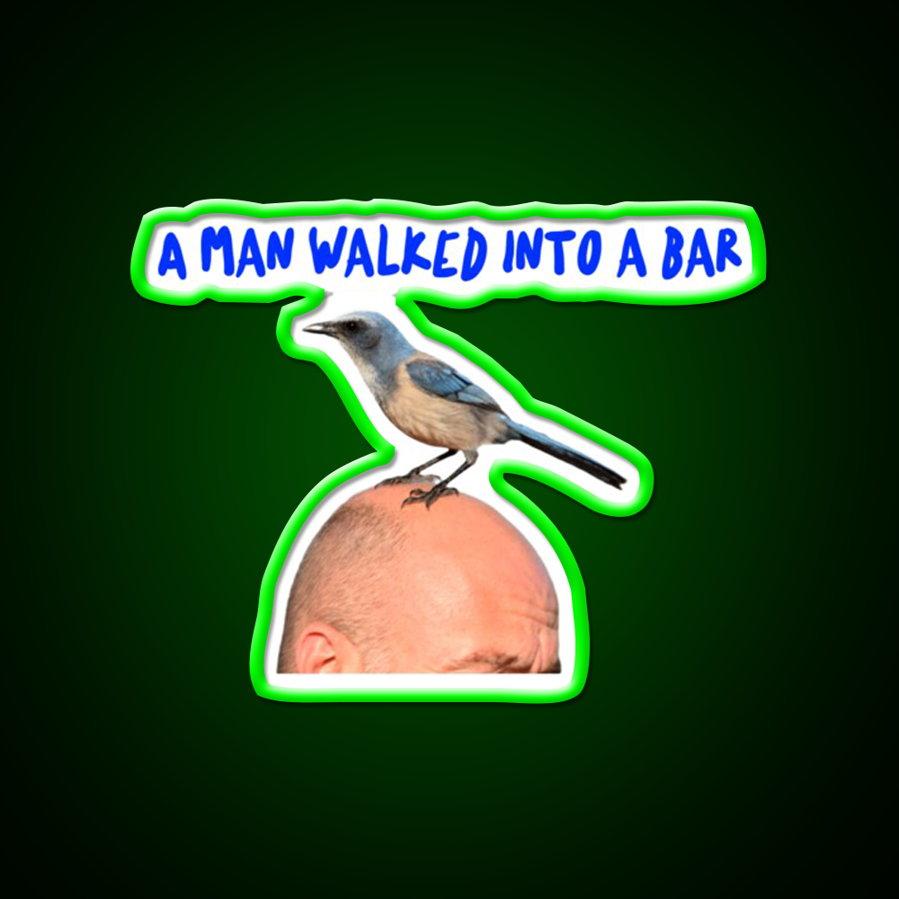 Man In Bar With Bird On Head Man Cave Bar Led Neon Sign Rgb Color