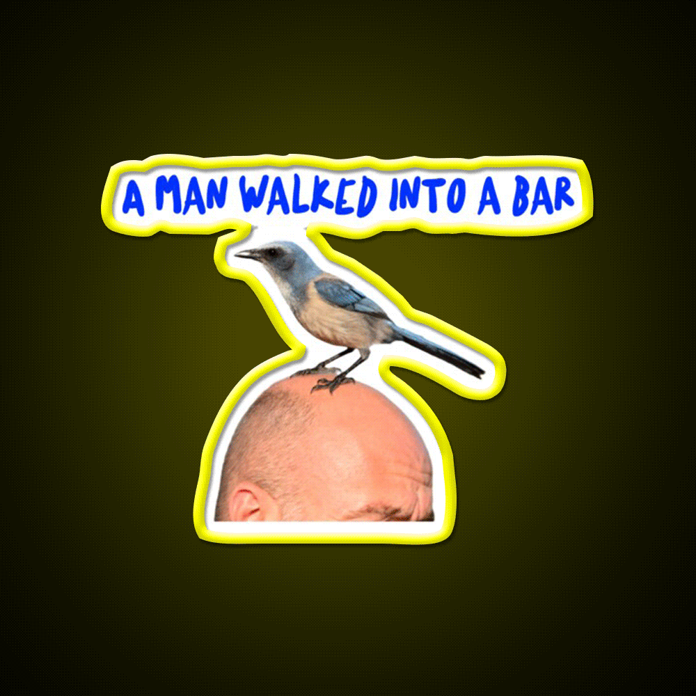 Man In Bar With Bird On Head Man Cave Bar Led Neon Sign Rgb Color
