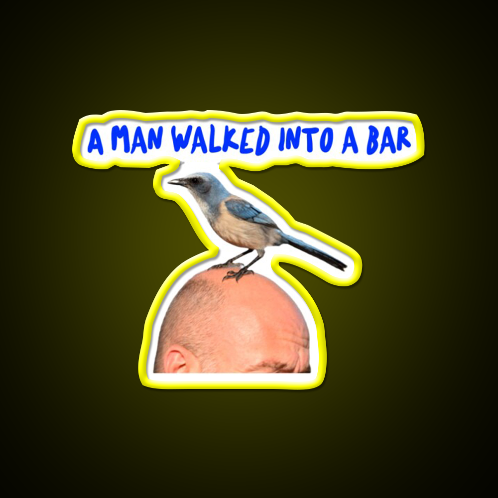 Man In Bar With Bird On Head Man Cave Bar Led Neon Sign Rgb Color