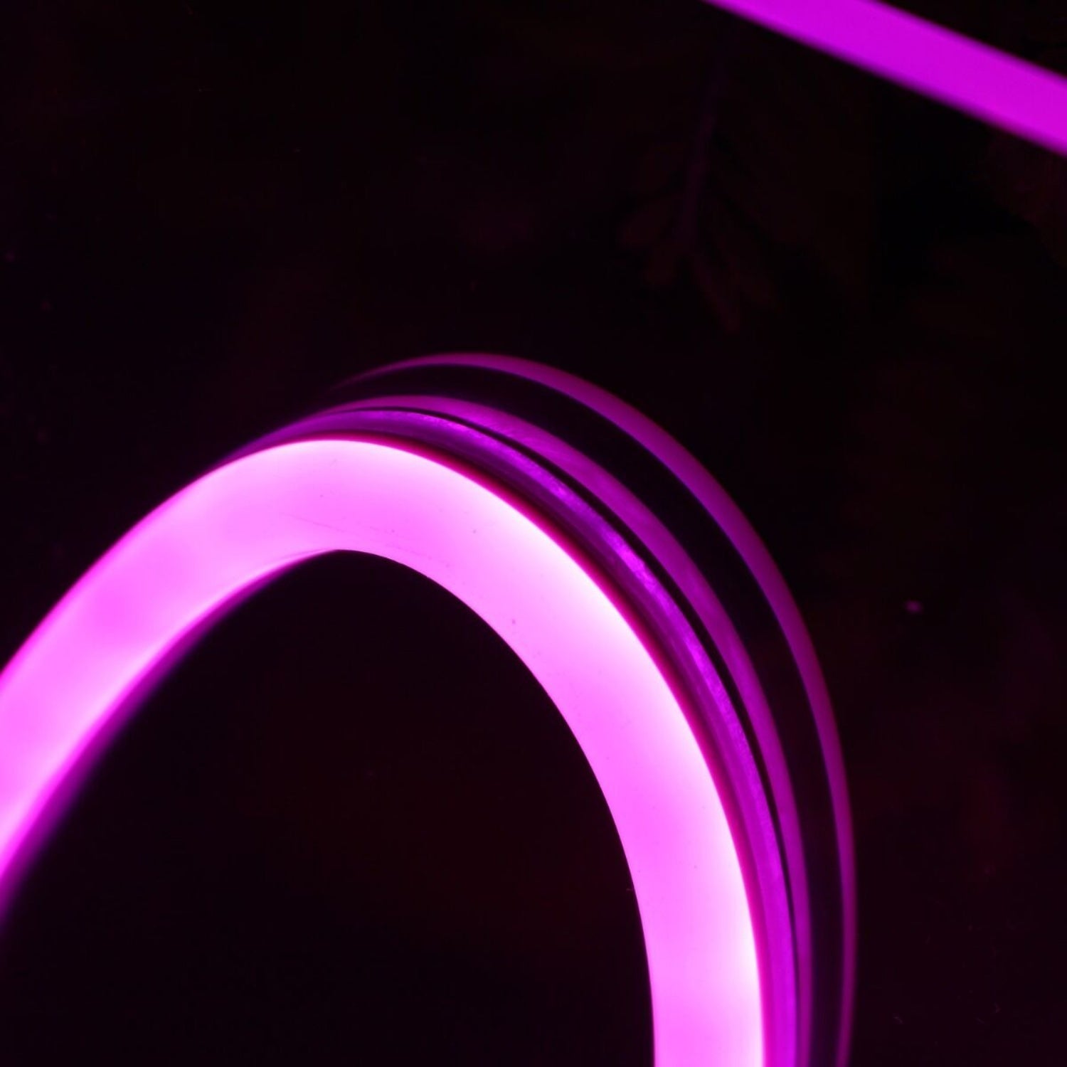 Miss Fux Purple Led Neon Sign - Shineneon