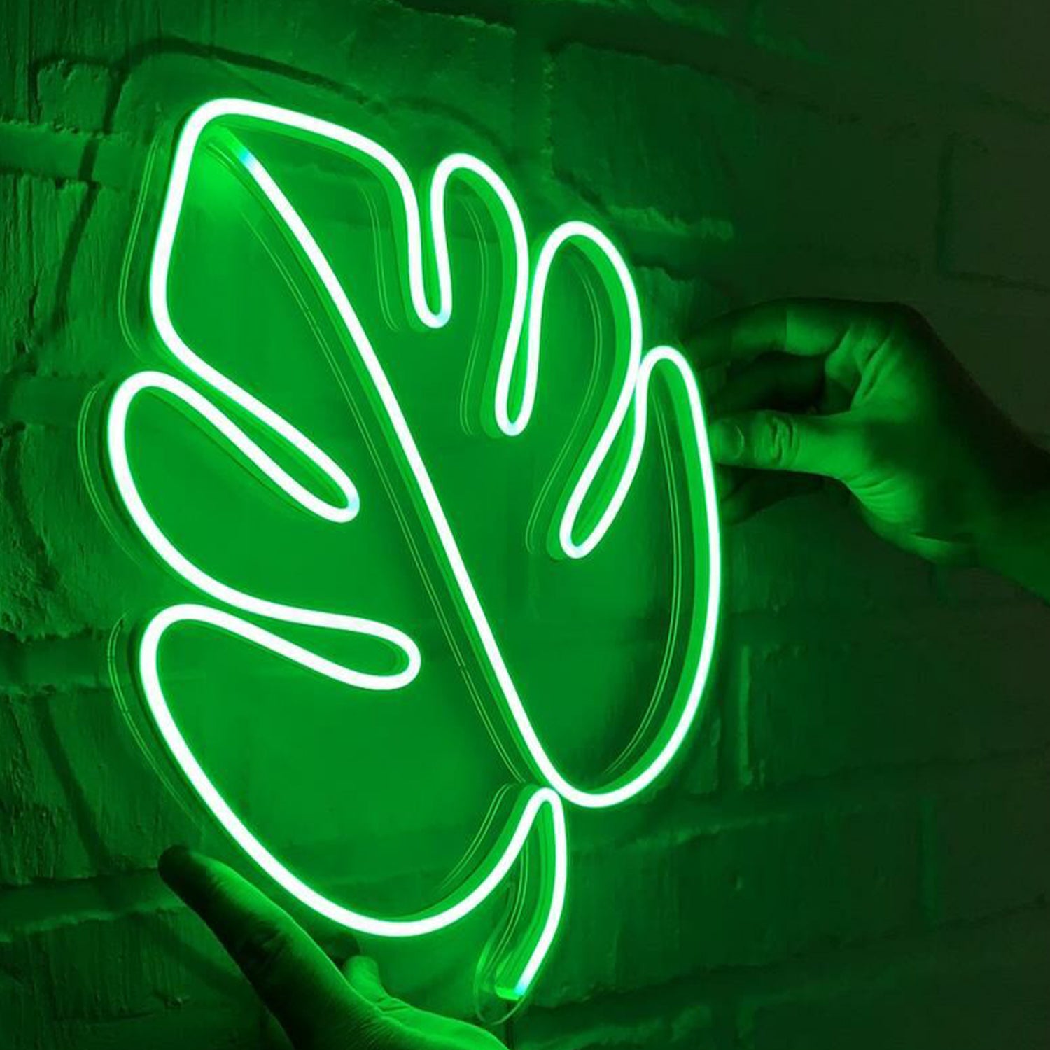 Monstera Leaf Led Neon Sign | Shineneon