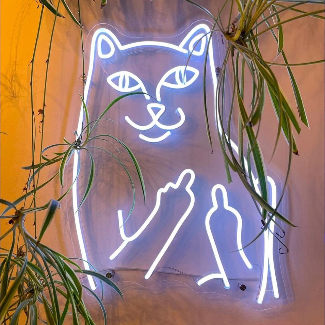 Mr Bad Cat Led Sign Business Neon Sign - Shineneon