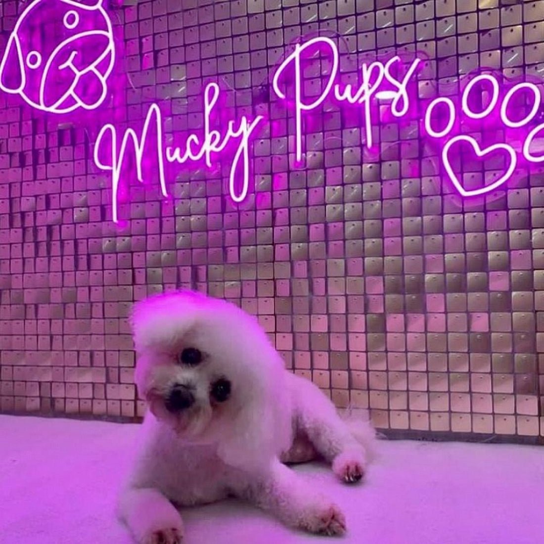 Mucky Pups Led Sign Business Neon Sign - Shineneon