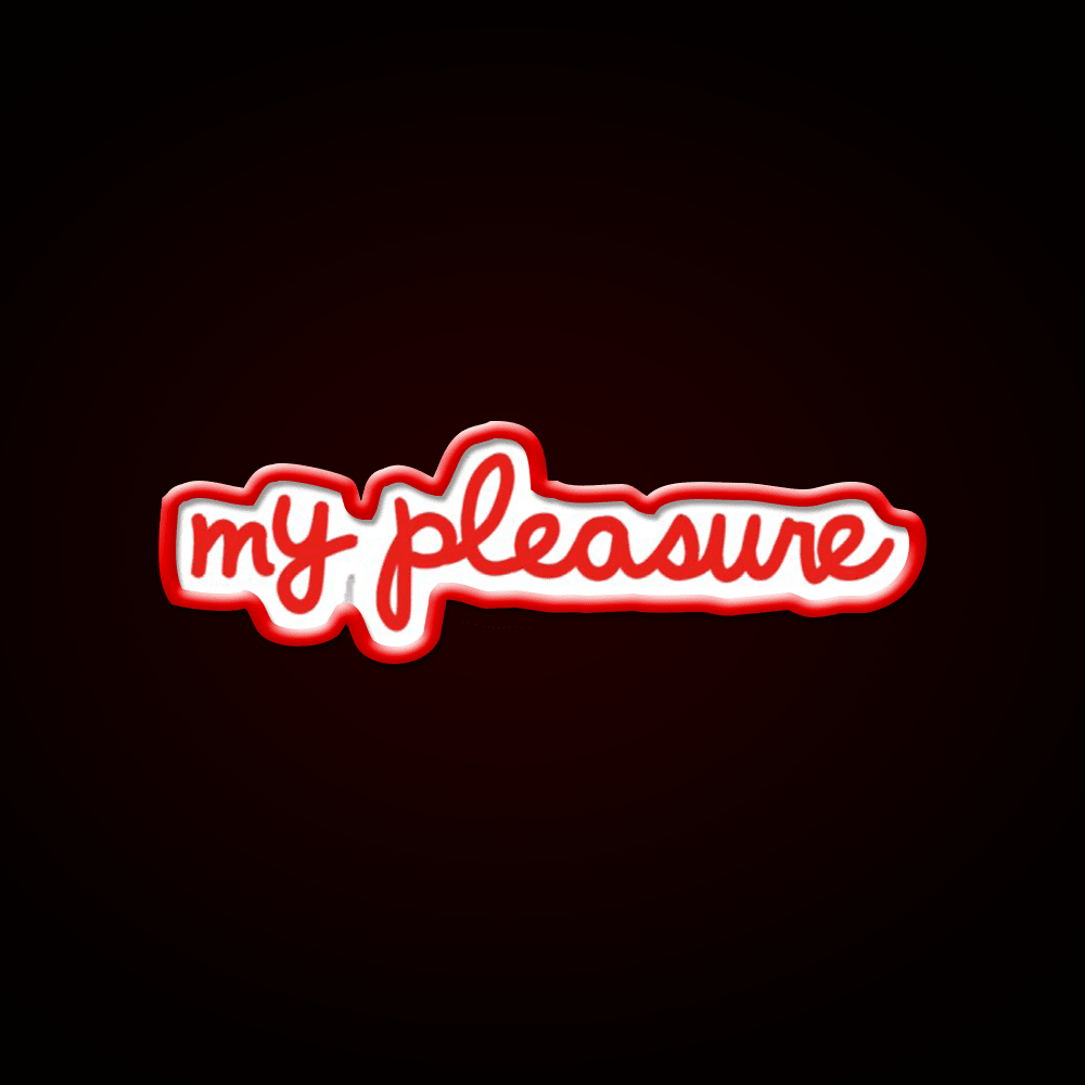 My Pleasure Chick V3 Fast Food Led Neon Sign For Burger Place Rgb Color - Shineneon
