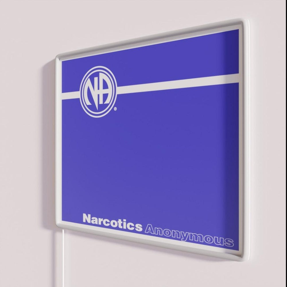 Na Basic Text Book Narcotics Gift Rgb Led Neon Sign - Neon sign mounted on wall in room