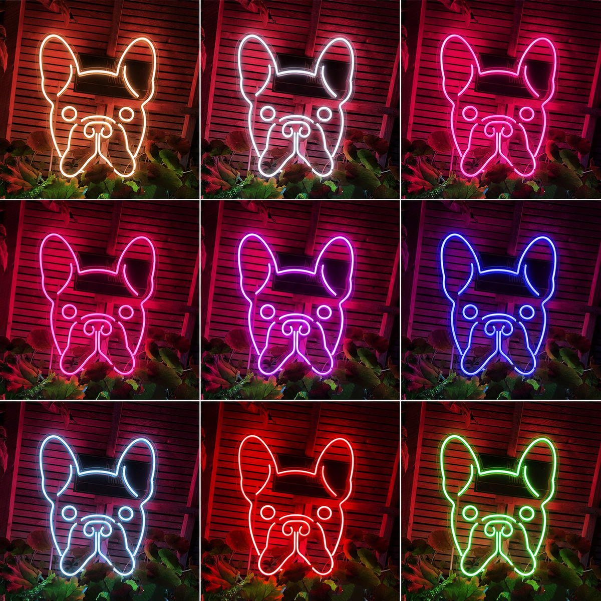 Neon Personalizado Cachorro LED Neon Sign - Shineneon