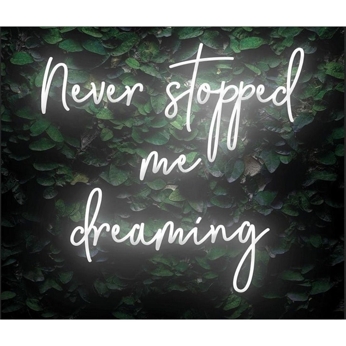 Never Stopped Me Dreaming Led Sign Business Neon Sign - Shineneon