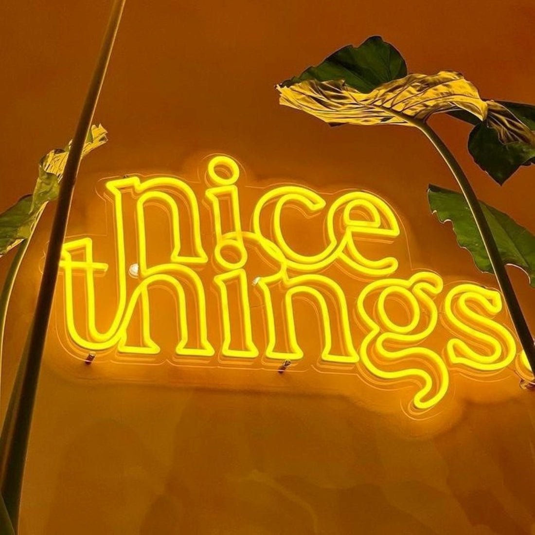 Nice Things Led Sign Business Neon Sign - Shineneon