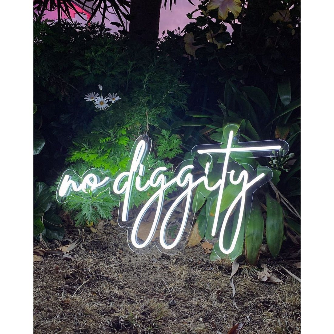 No Diggity Led Sign Business Neon Sign - Shineneon