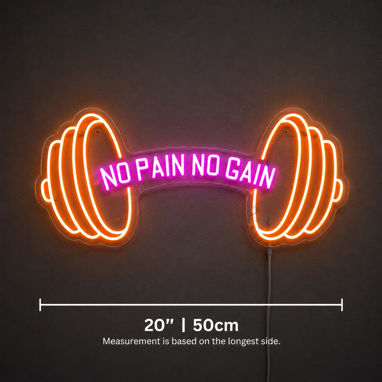 No Pain No Gain Dumbbell Neon Sign LED Neon Sign size image