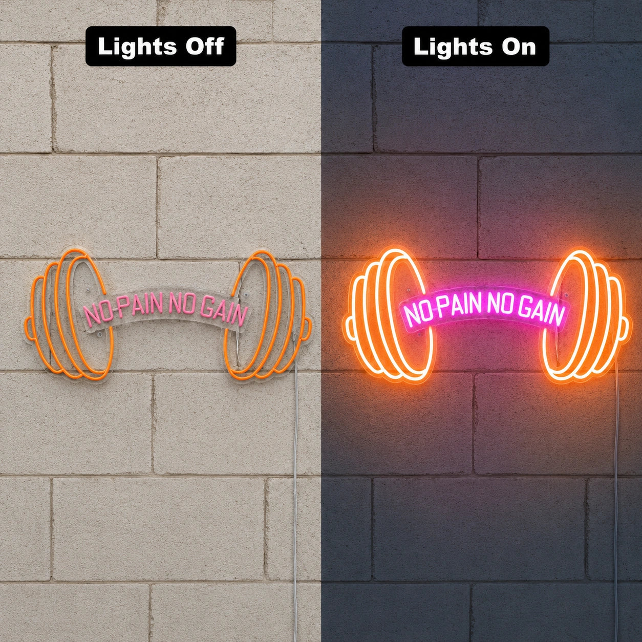 No Pain No Gain Dumbbell Neon Sign LED Neon Sign day and night comparison