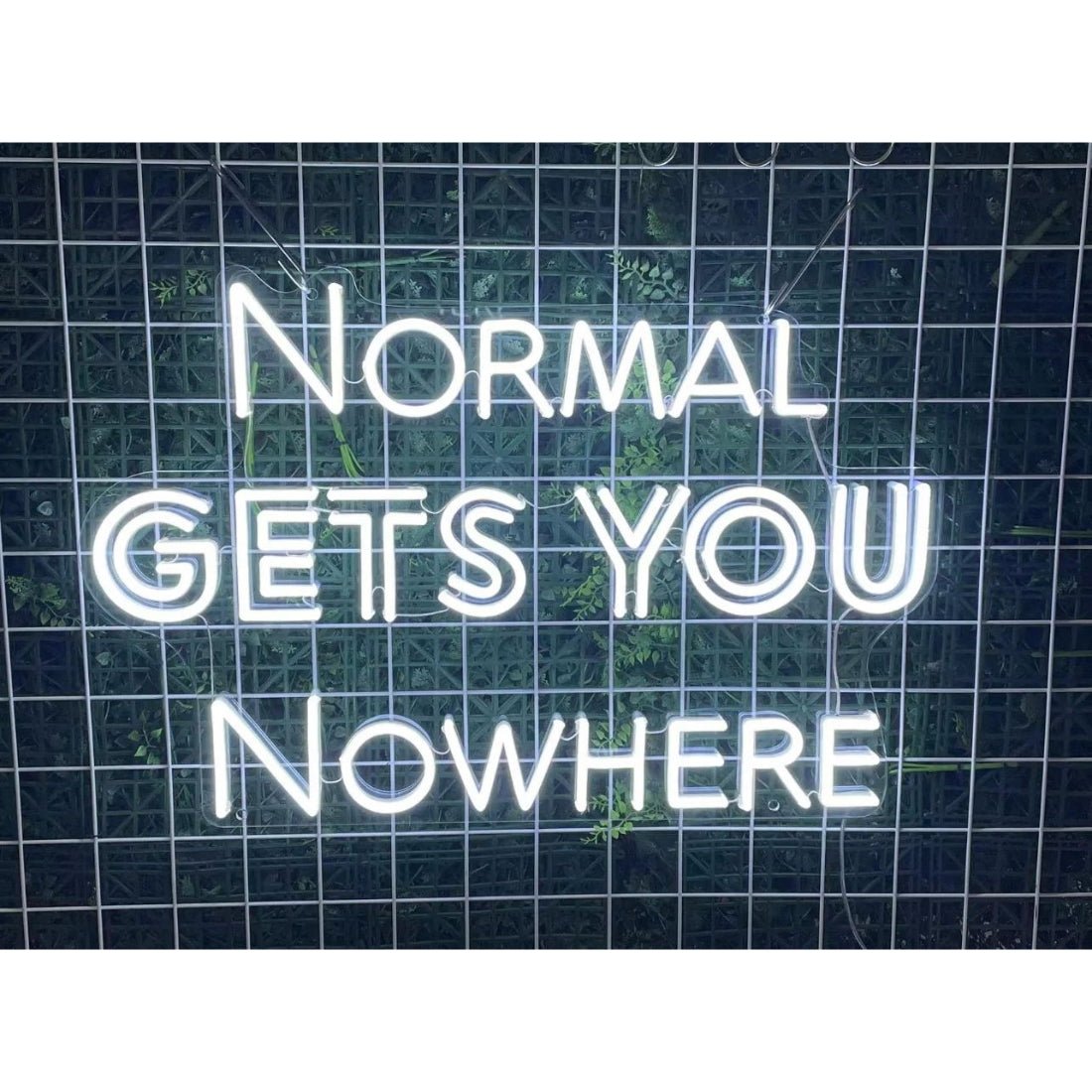 Normal Gets You Nowhere Led Sign Business Neon Signs Wall Decor - Shineneon