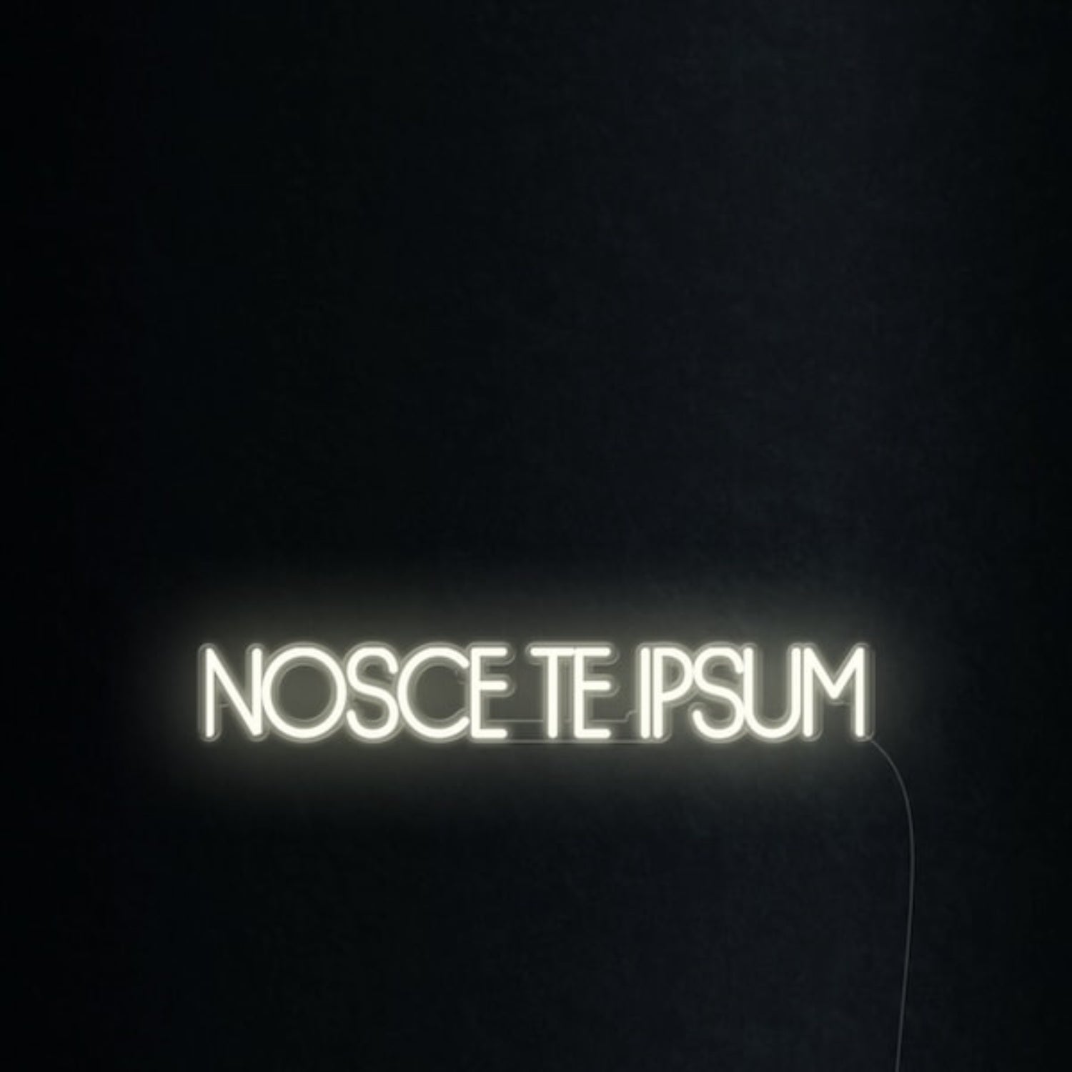 Nosce Te Ipsum Know Thyself Led Neon Sign Wall Art | Shineneon