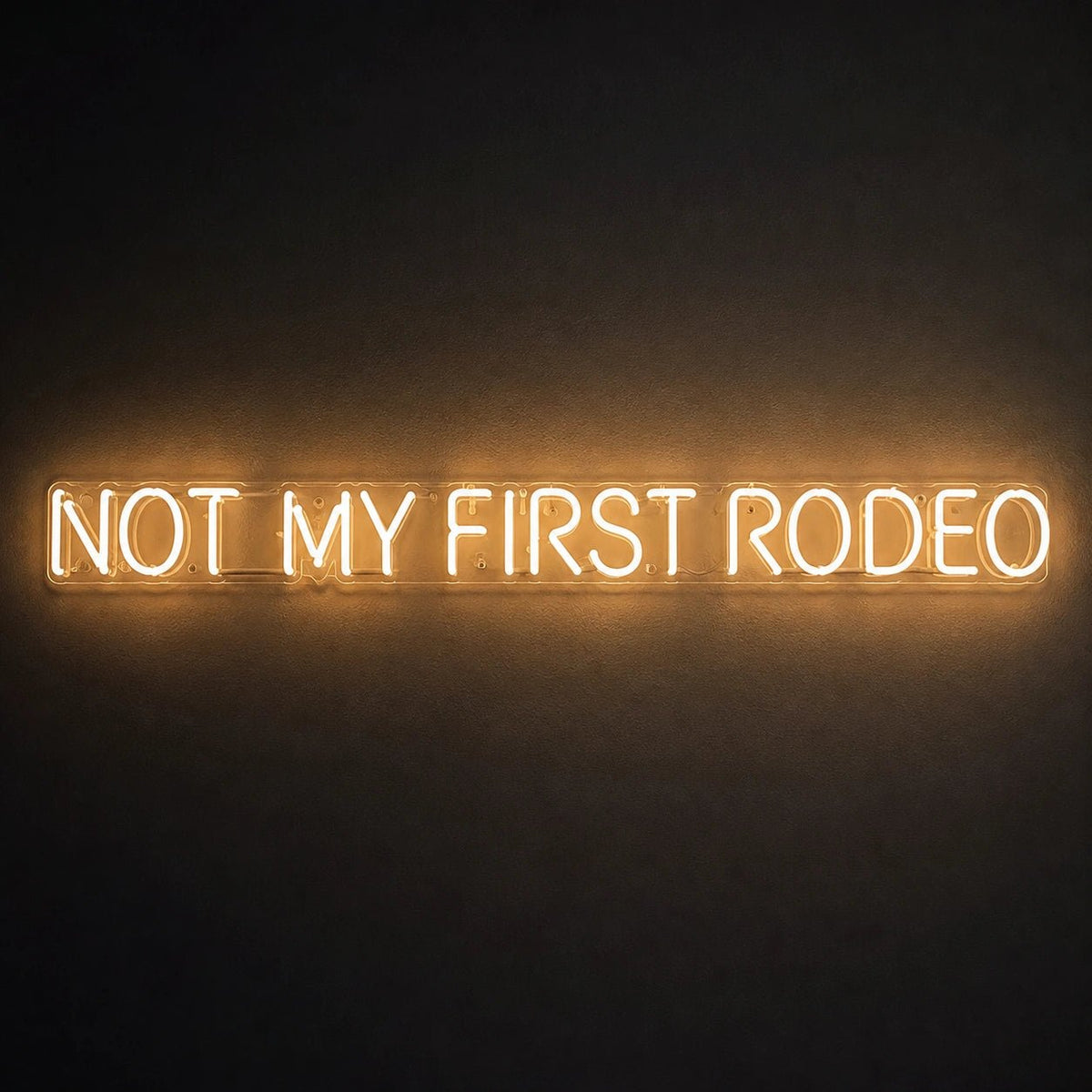 Not My First Rodeo LED Neon Sign - Shineneon