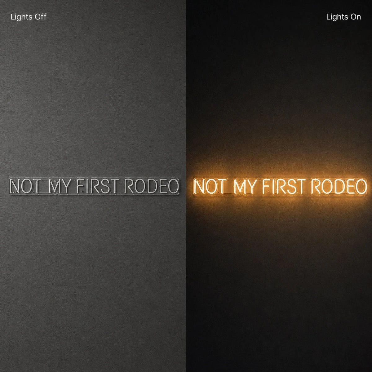 Not My First Rodeo LED Neon Sign - Shineneon
