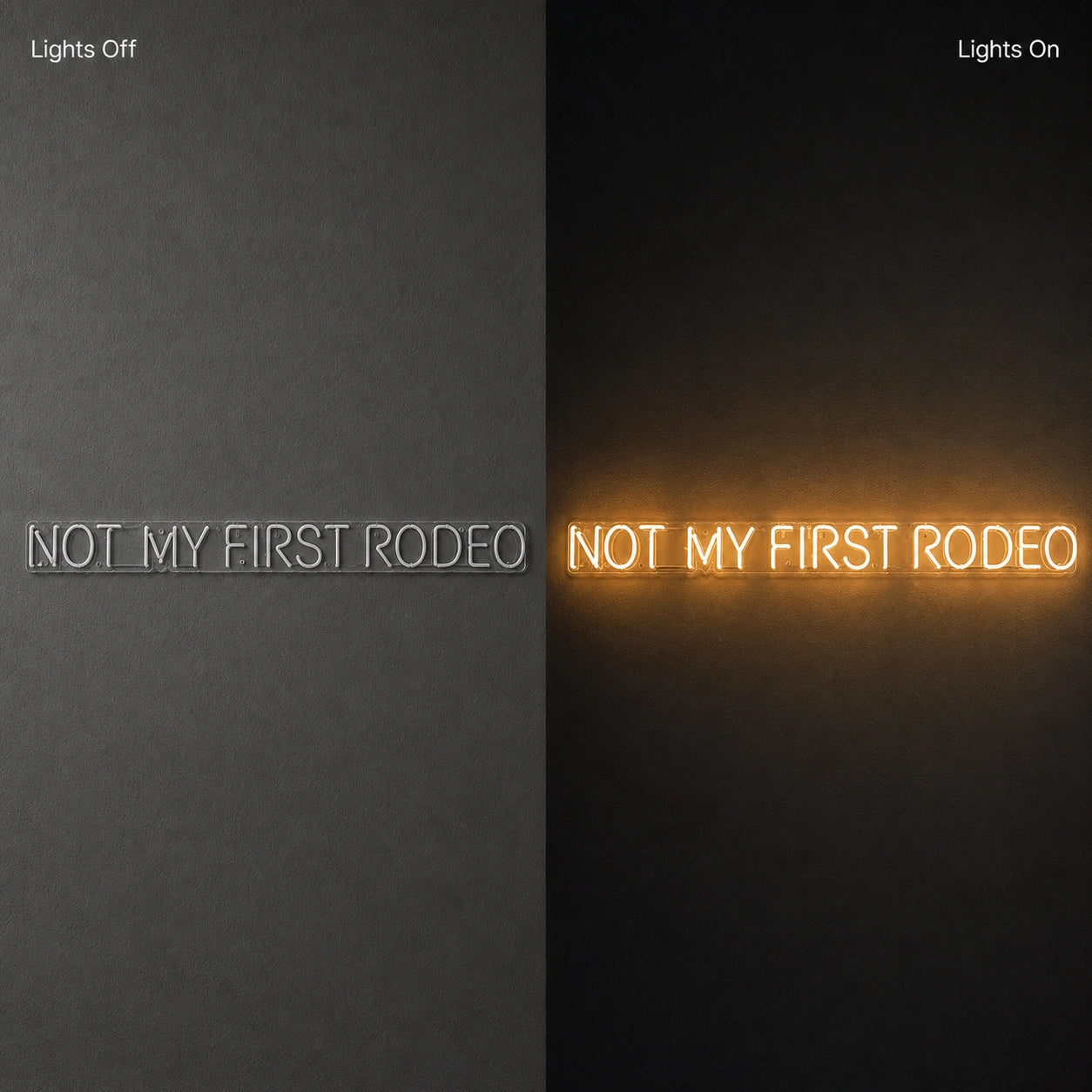 Not My First Rodeo LED Neon Sign Man Cave Neon Sign day and night comparison