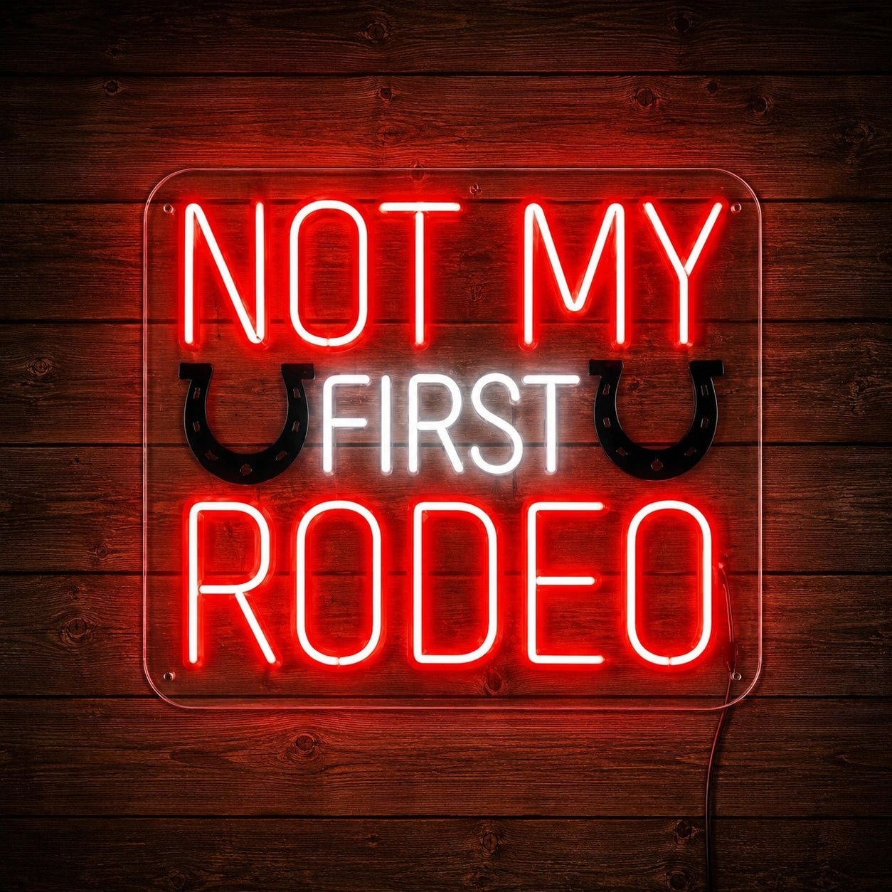 Not My First Rodeo Neon Sign LED Neon Sign high-converting product image