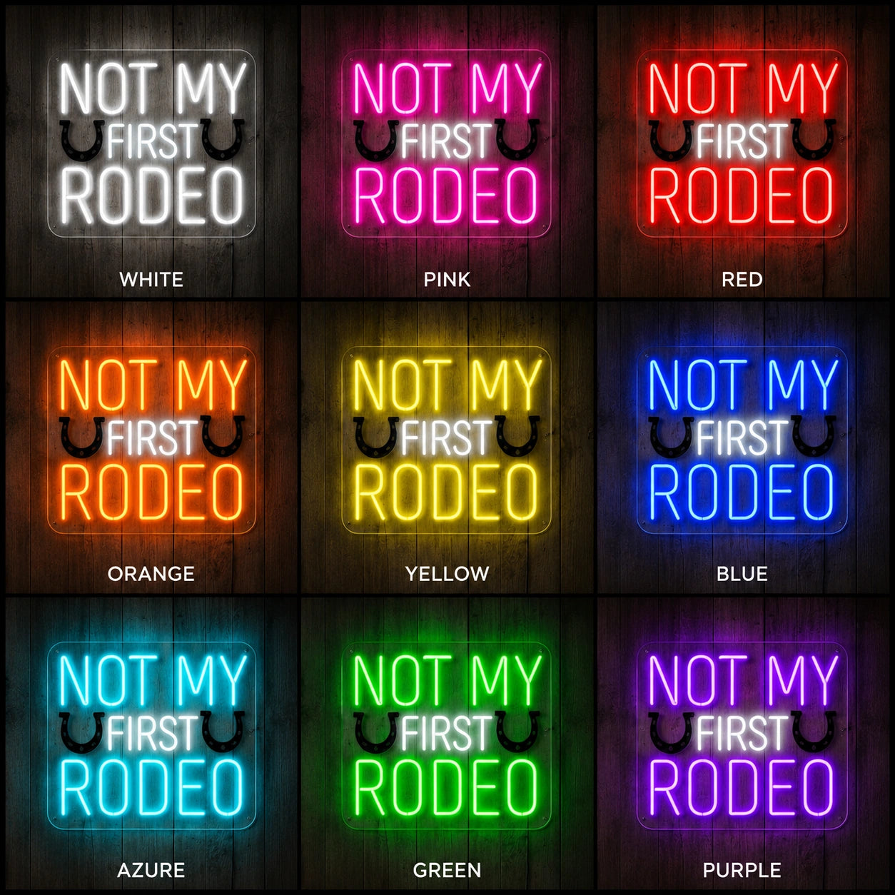 Not My First Rodeo Neon Sign LED Neon Sign color grid