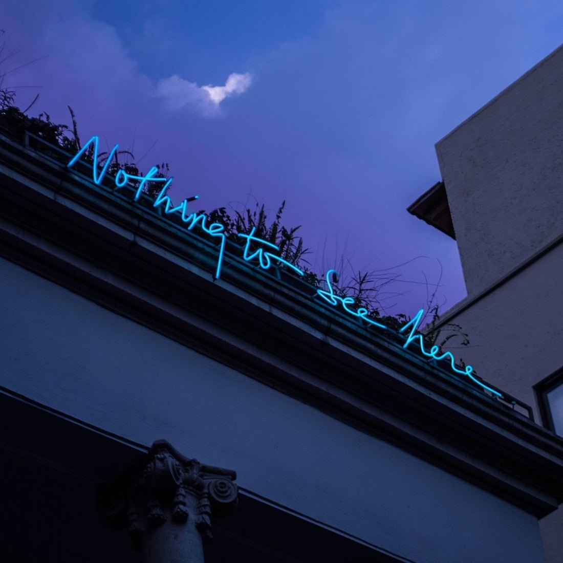 Nothing To See Here Led Sign Business Neon Sign - Shineneon