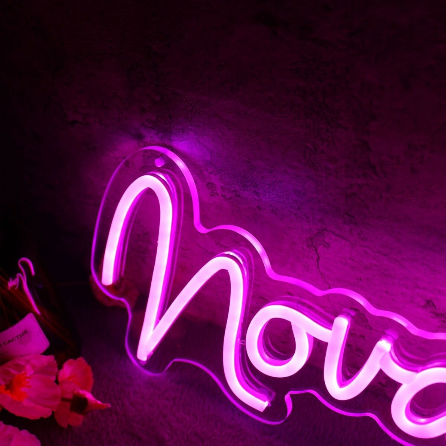 Novaleigh Led Neon Sign | Shineneon