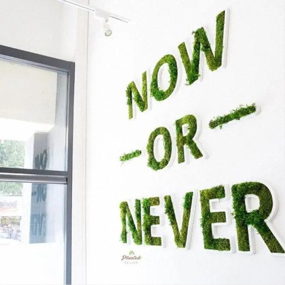Now Or Never 3D Moss Letter Sign