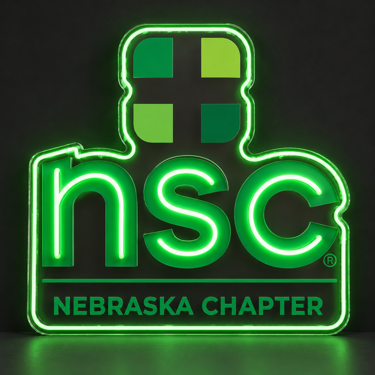 Nsc Nebraska Chapter Custom LED Neon Sign | cb5901160e5d98496f1dfdd983226d6a3e4a9eaaa479c3ab960949f60a4af5a5 | effect