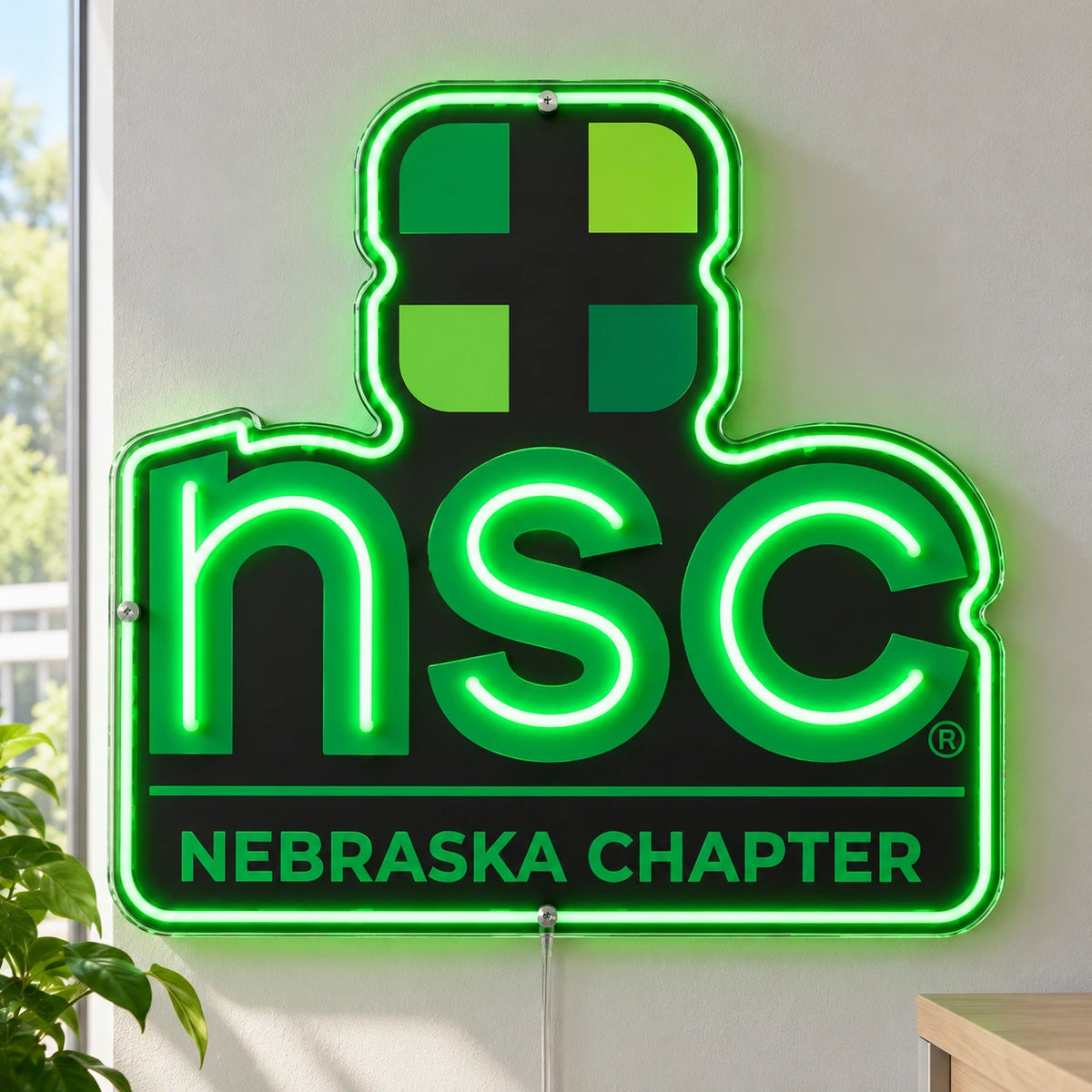 Nsc Nebraska Chapter Custom LED Neon Sign | d340b951dd1da050bcba8ca03935ade06be4de5c2f4457336271ceee65388143 | natural_light